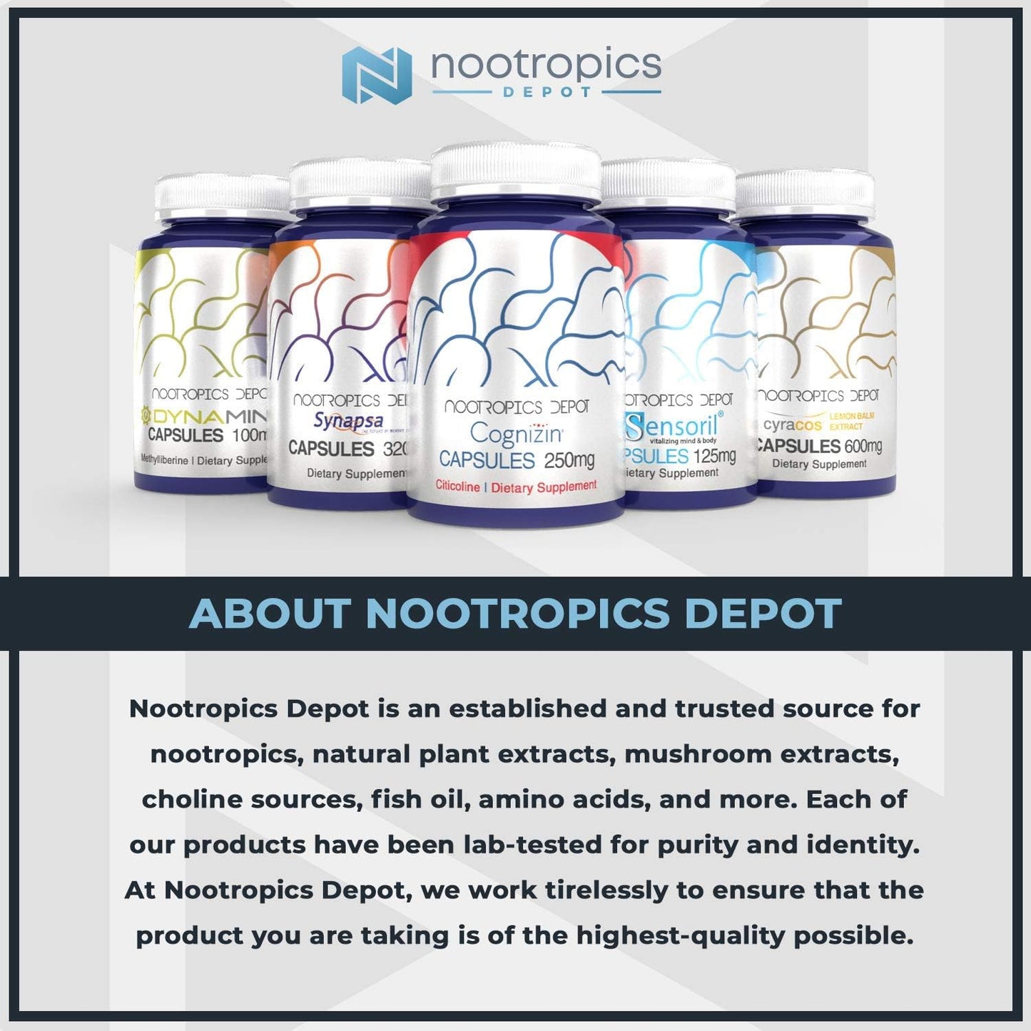 High-Quality Nootropics Depot Acetyl L-Carnitine Capsules - 500mg - 180 Count - Energy Boost - Supports Mitochondrial Function - ALCAR HCL