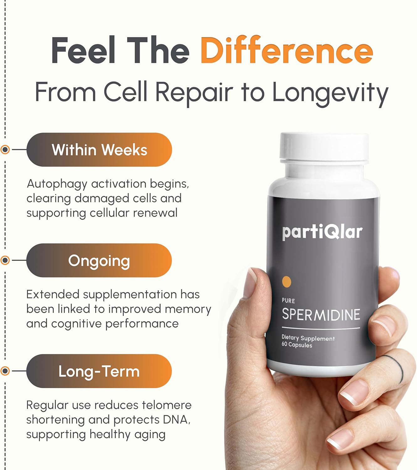 High-Quality Spermidine Supplements - 99% Purity - 8mg per Capsule - Anti-Inflammatory & Longevity Support - 60 Capsules - USA Made