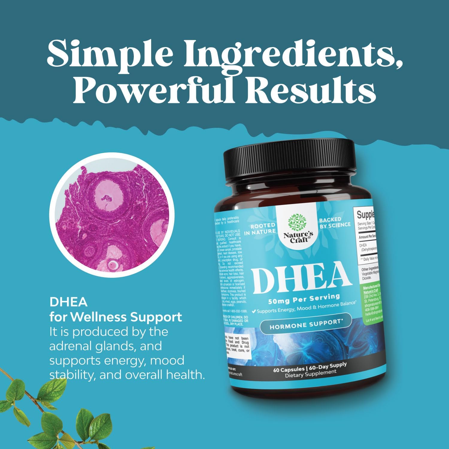 High Strength DHEA 50mg Supplement for Men & Women - Boost Energy & Hormone Balance - 2 Month Supply