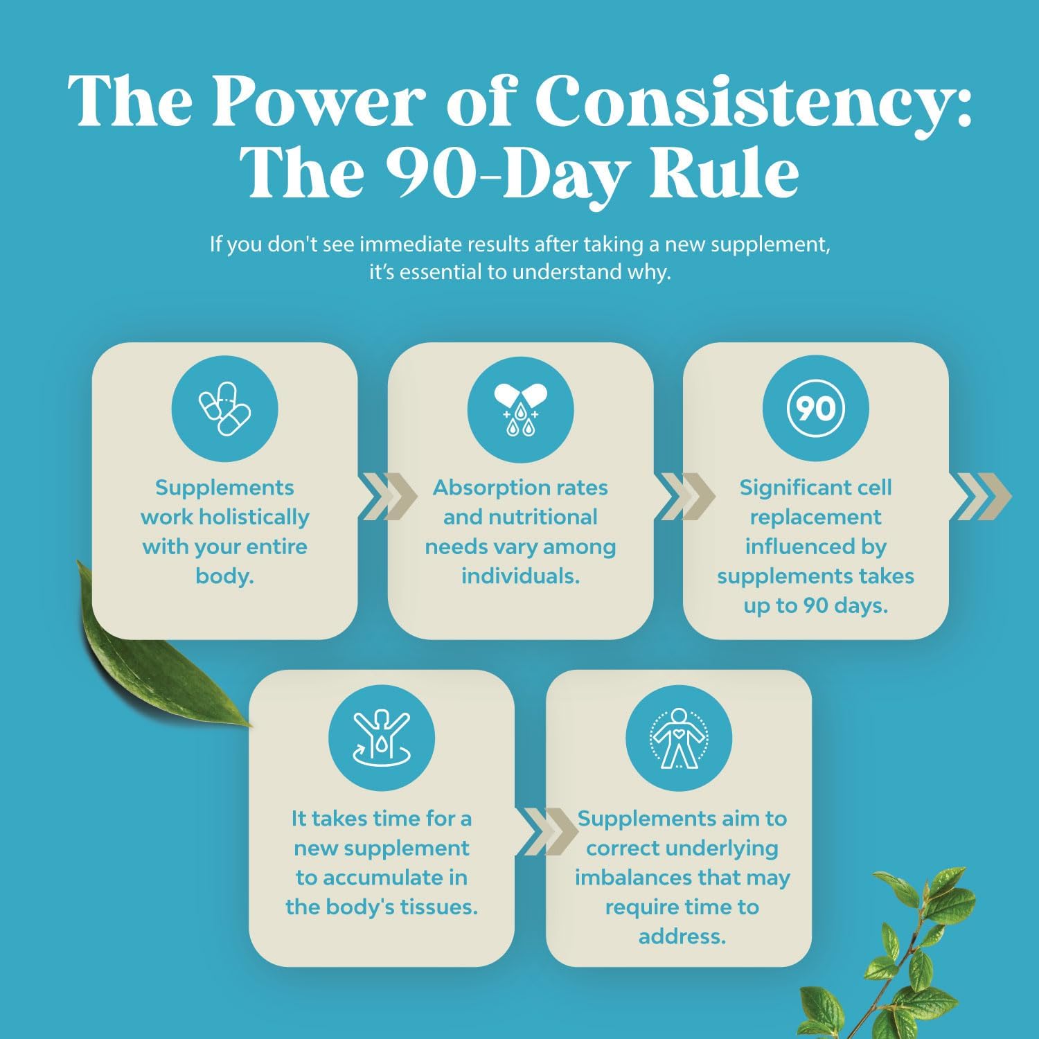 High Strength DHEA 50mg Supplement for Men & Women - Boost Energy & Hormone Balance - 2 Month Supply