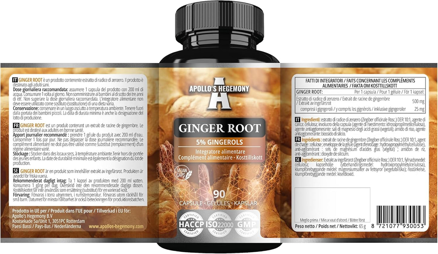 High Strength Ginger Root Extract Capsules - 500mg, 5% Gingerols, 90 Vegan Capsules - Digestive Comfort & Immune Support - 3 Month Supply