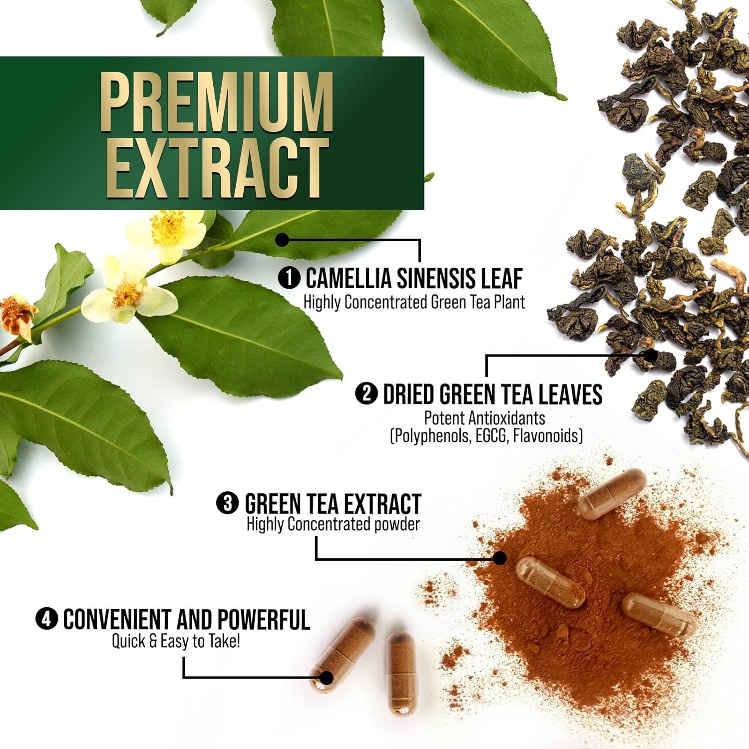 High Strength Green Tea Extract Pills - 1000mg with 98% EGCG & Polyphenols - Boost Energy, Heart & Antioxidant Health - Natural Caffeine Source - 120 Capsules