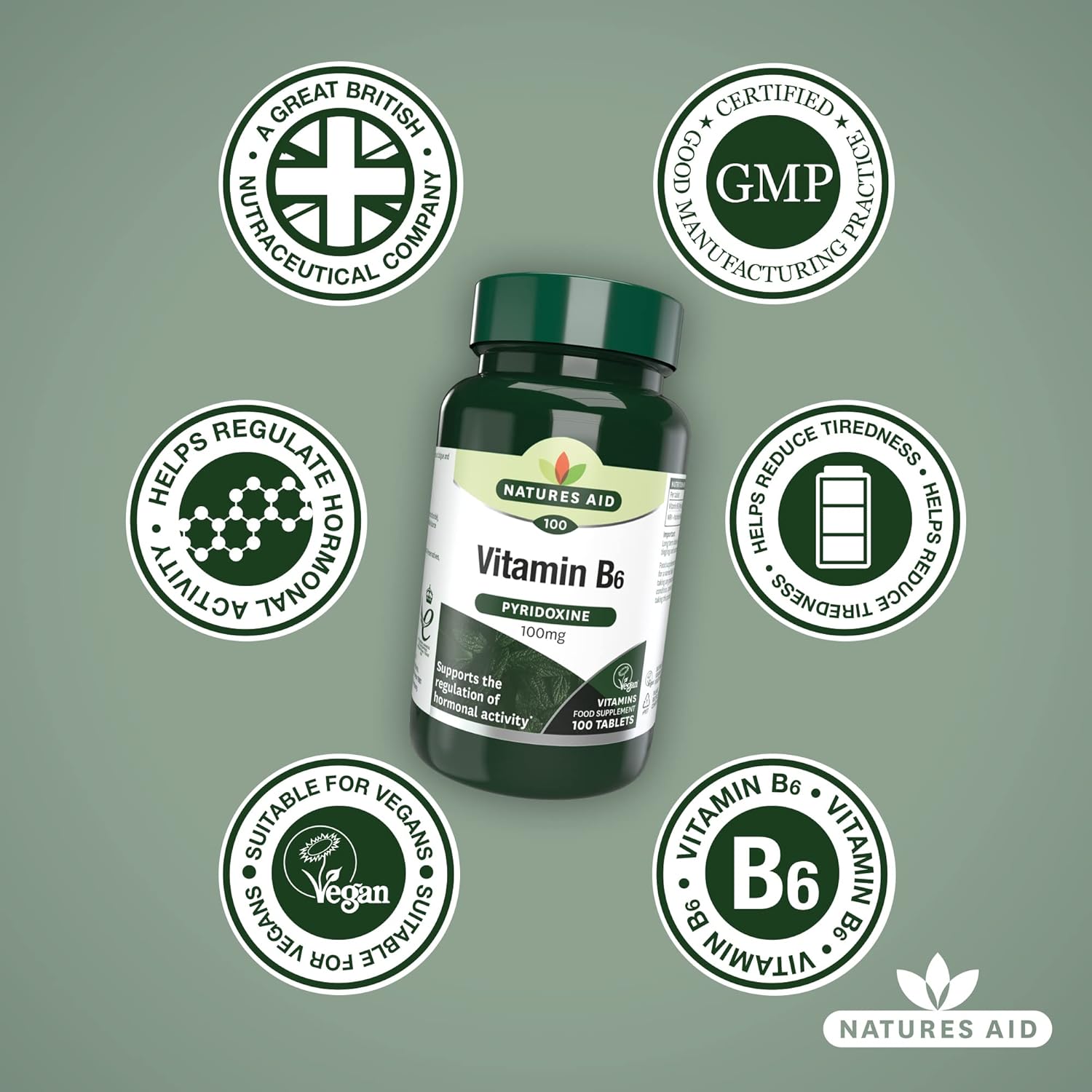 High Strength Natures Aid Vitamin B6 100mg Supplement for Daily Health Support