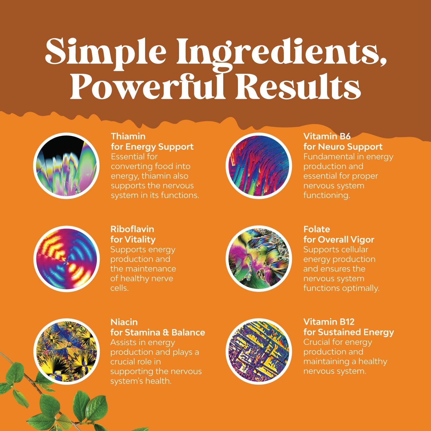 High Strength Natures Craft Vitamin B Complex Supplement - 100 Tablets for Men & Women - Supports Nervous System & Energy