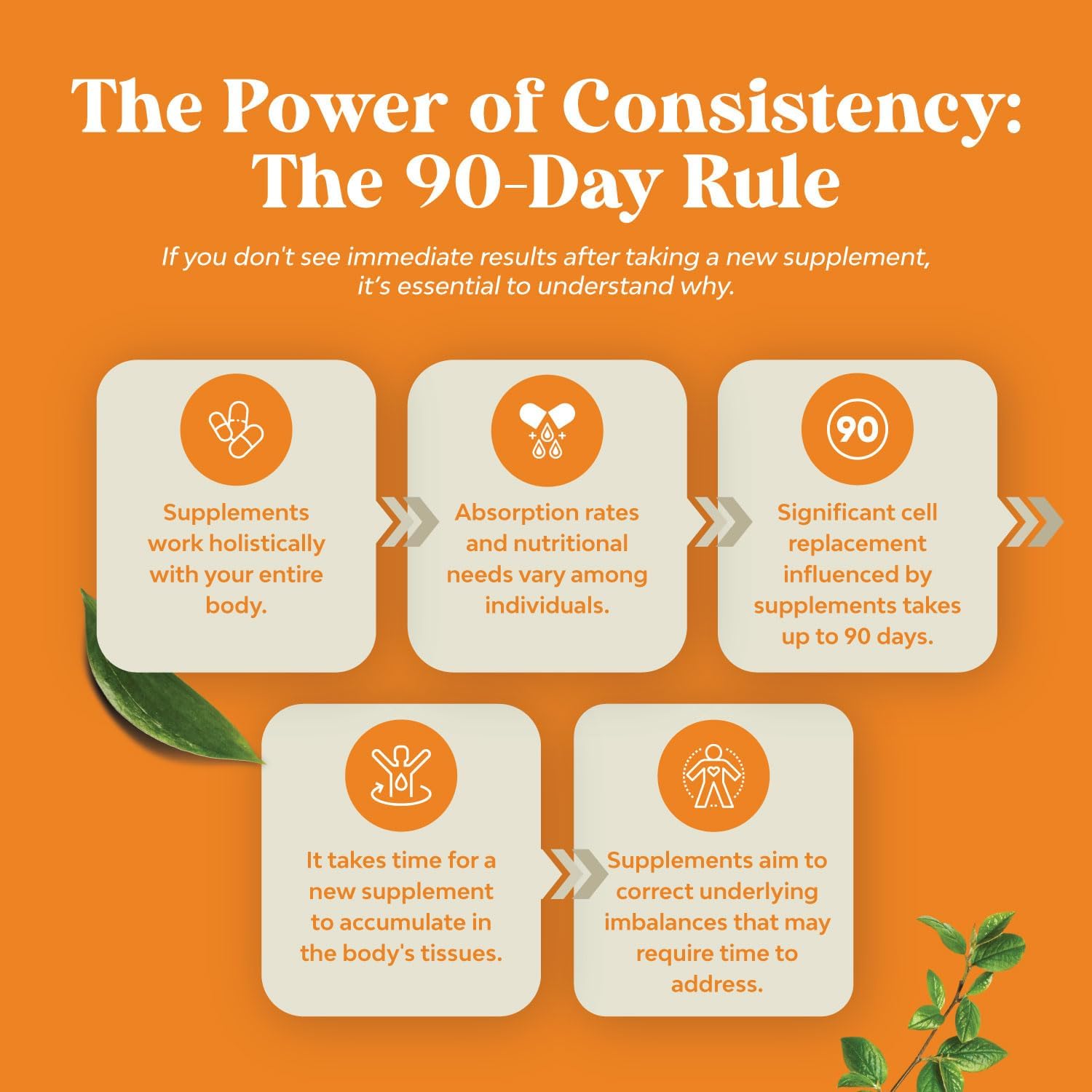 High Strength Natures Craft Vitamin B Complex Supplement - 100 Tablets for Men & Women - Supports Nervous System & Energy