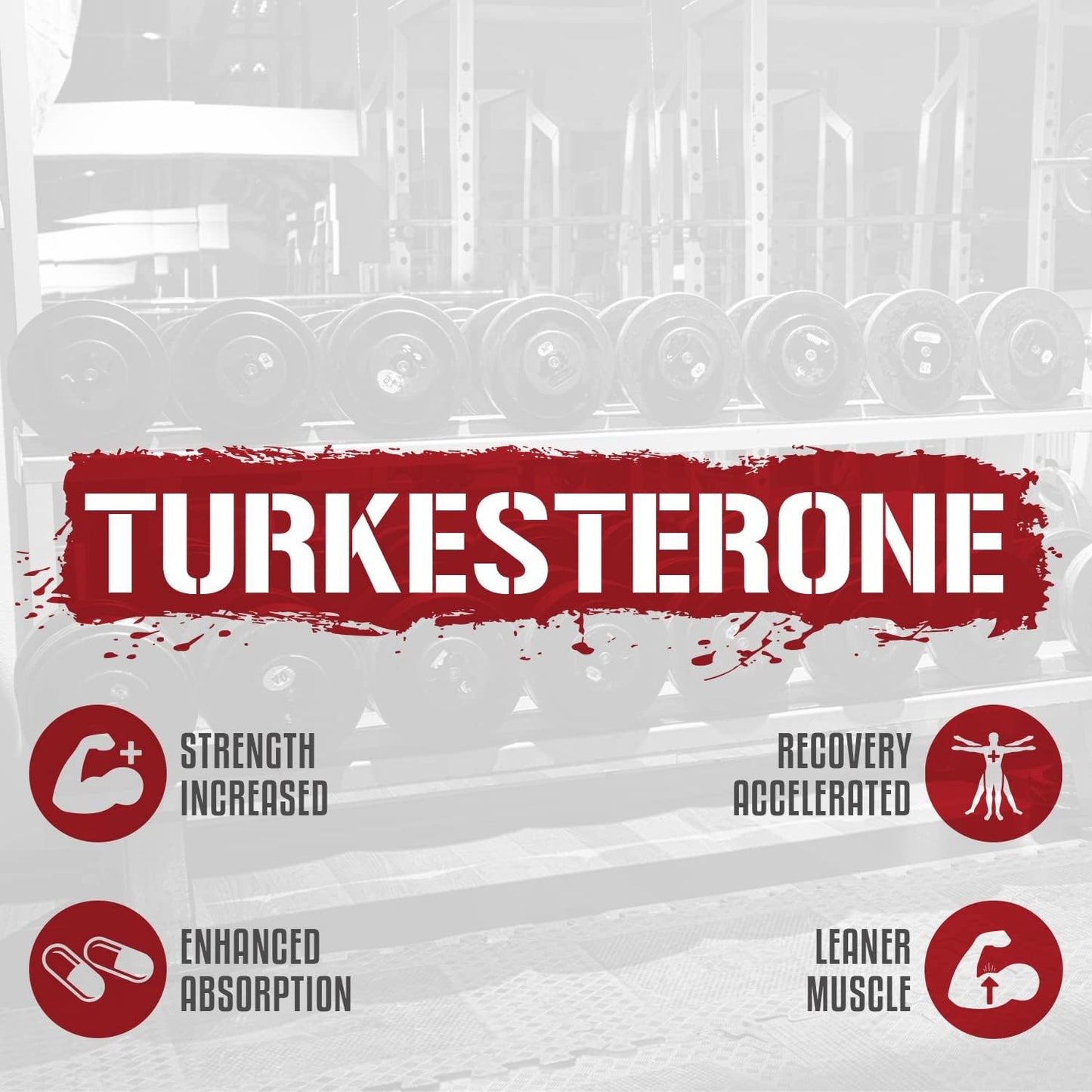 Highly Absorbable 5% Nutrition Turkesterone & Ecdysterone Complex - 120 Capsules (1 Month Supply) with Astragin, Cyclodextrin, and Naringin for Maximum Purity - BoostGo Australia