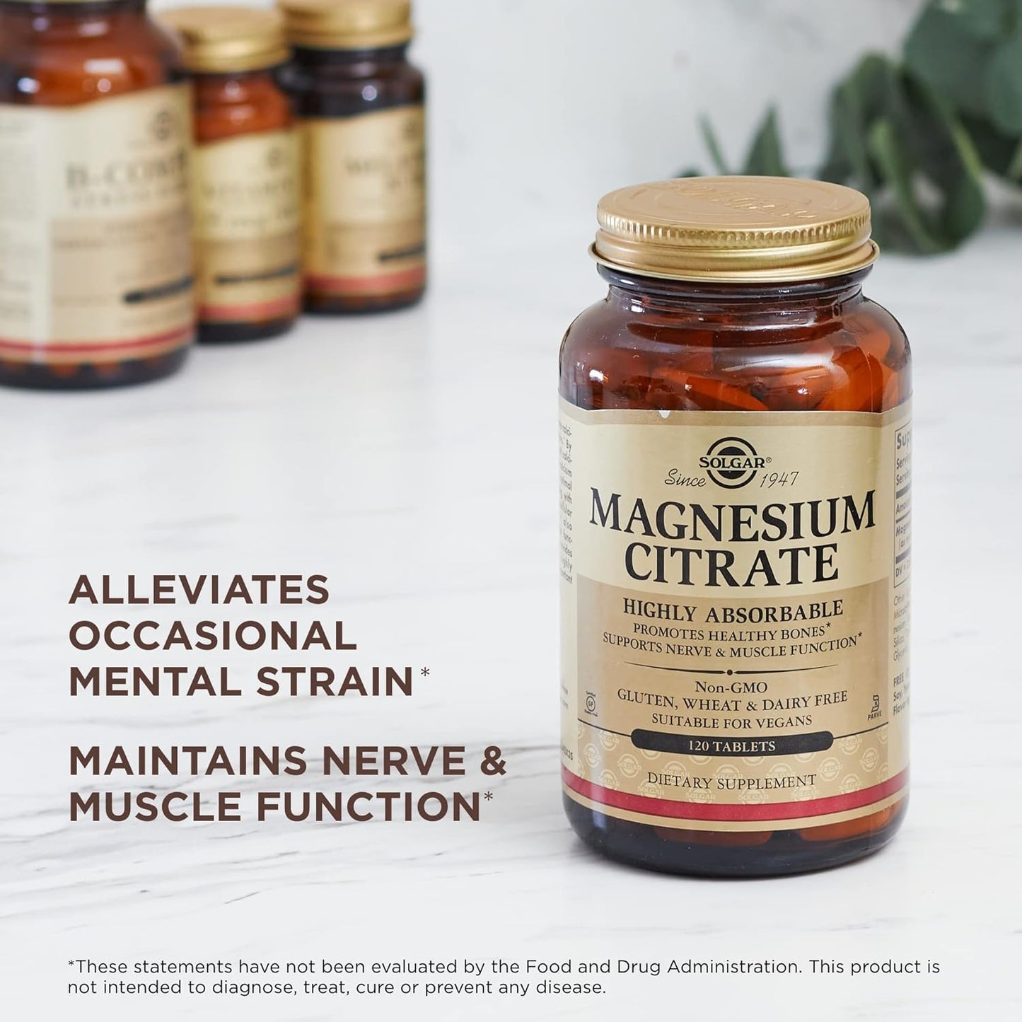 Highly Absorbable Magnesium Citrate Tablets - 120 Count - Supports Bone Health, Nerve & Muscle Function - Non-GMO, Vegan, Gluten Free - 60 Servings