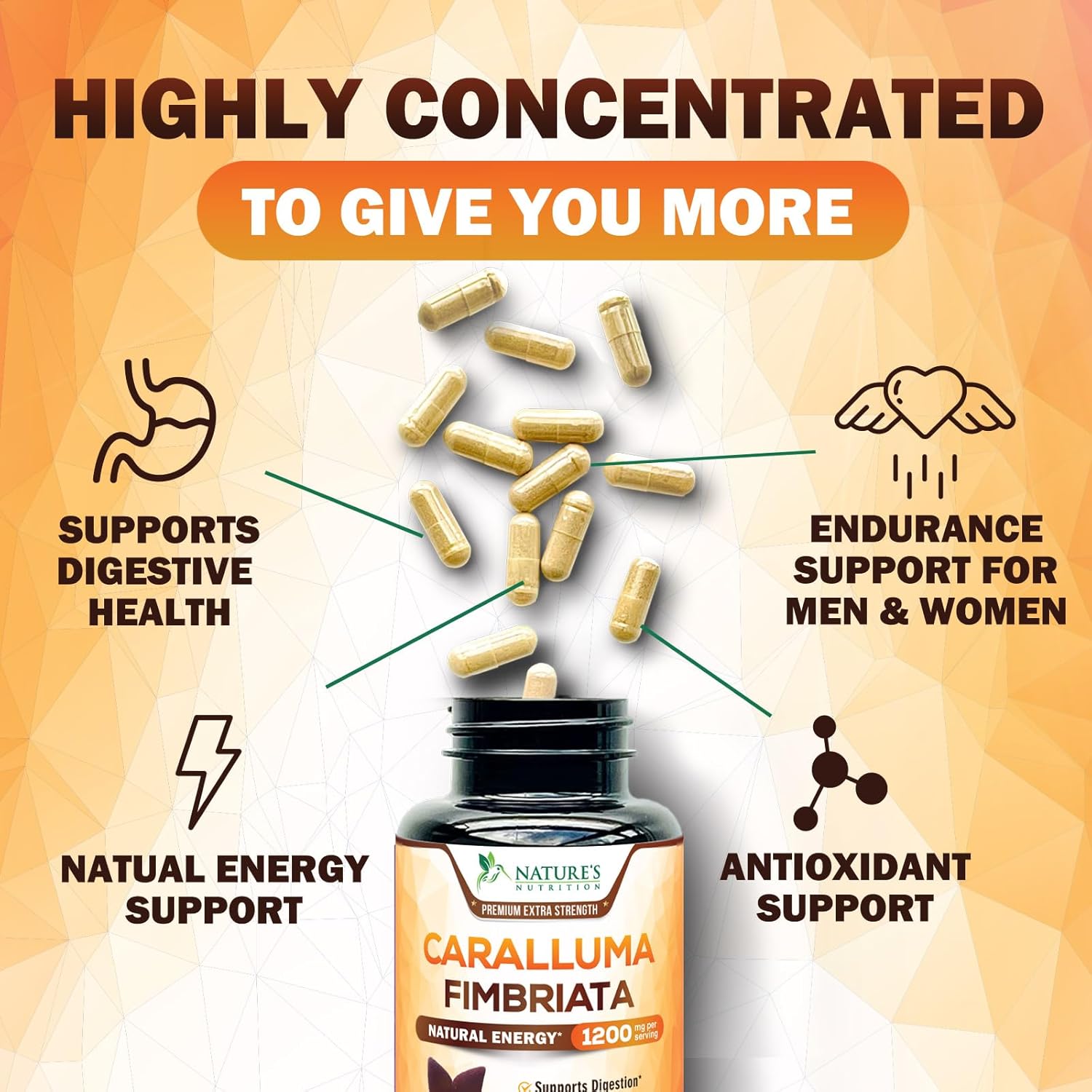 Highly Concentrated Pure Caralluma Fimbriata Extract 1200mg - Vegan Endurance Support Supplement for Men & Women - Non-GMO - 180 Capsules
