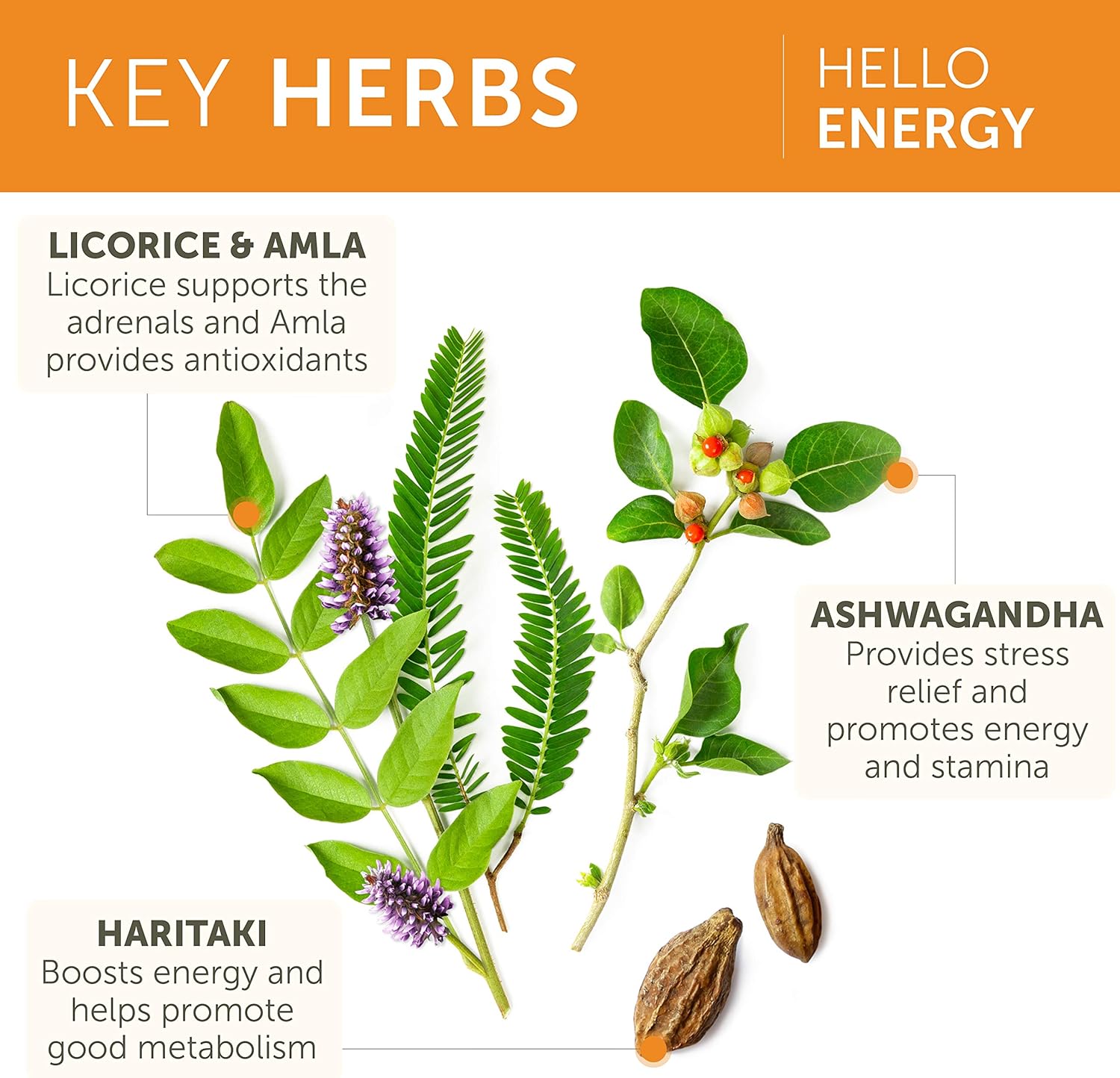 Himalaya Adrenal & Immune Support Bundle with Ashwagandha and Vitamin C - 60 Capsules Each