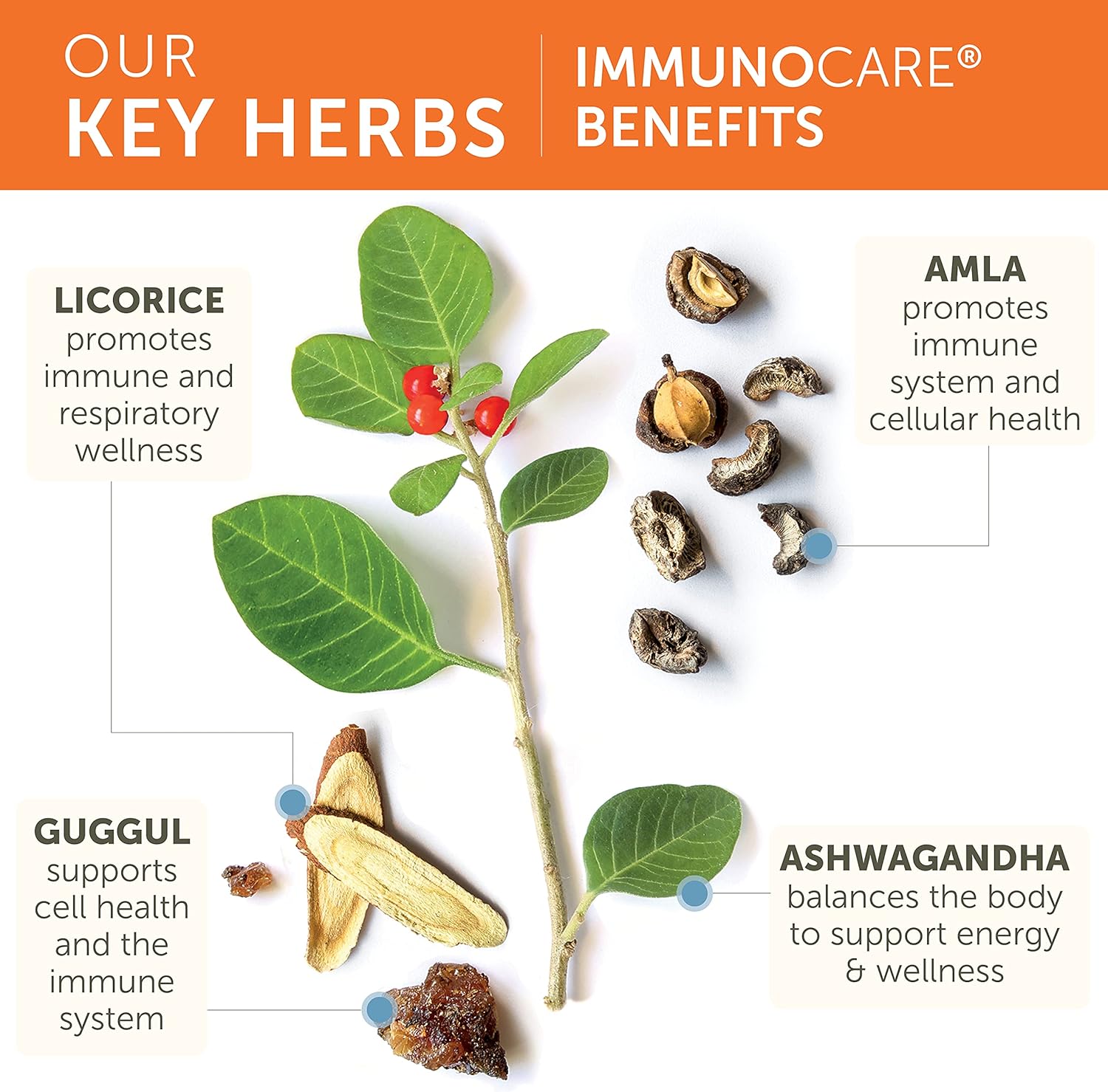 Himalaya ImmunoCare 840mg Capsules - Supports Active Immune System & Cellular Defense - 1 Month Supply - BoostGo Australia