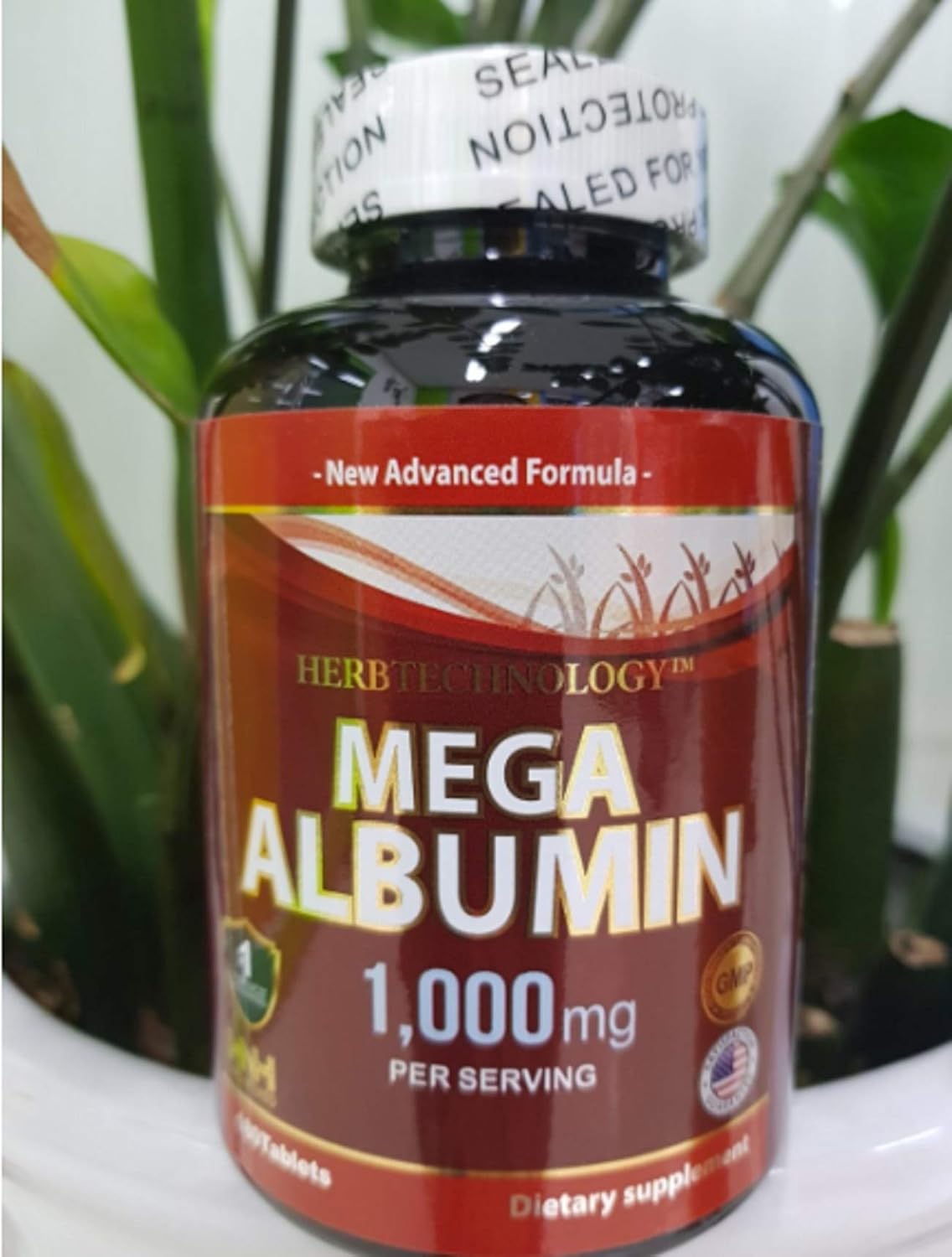 HNH USA Inc. Mega Albumin 1000mg Supplement Pack - 2 Bottles