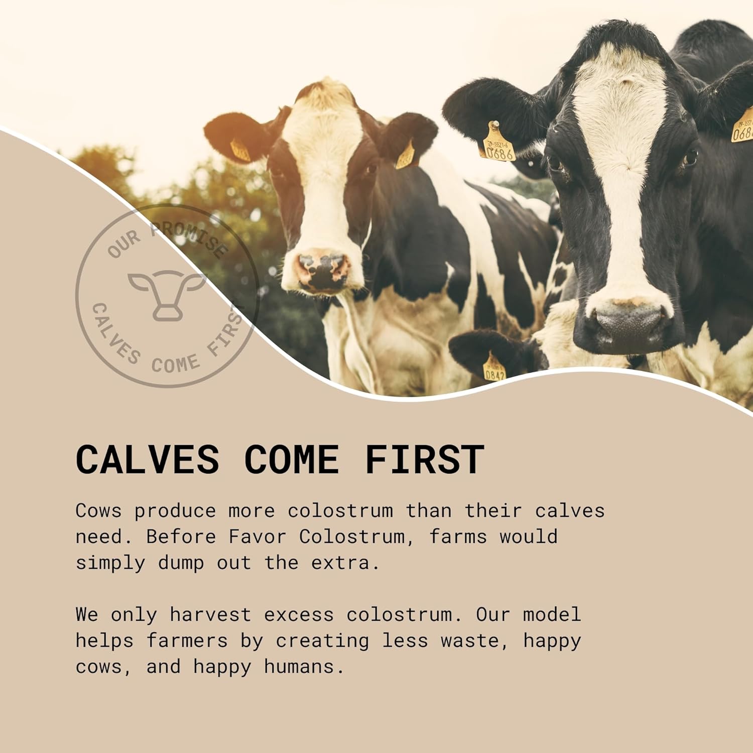 Holistic Human Health Bovine Colostrum Stick Packs | Liposomal & Whole | Convenient Travel Size | High IgG Powder | Ethically Made in USA | Easy Vanilla Mix