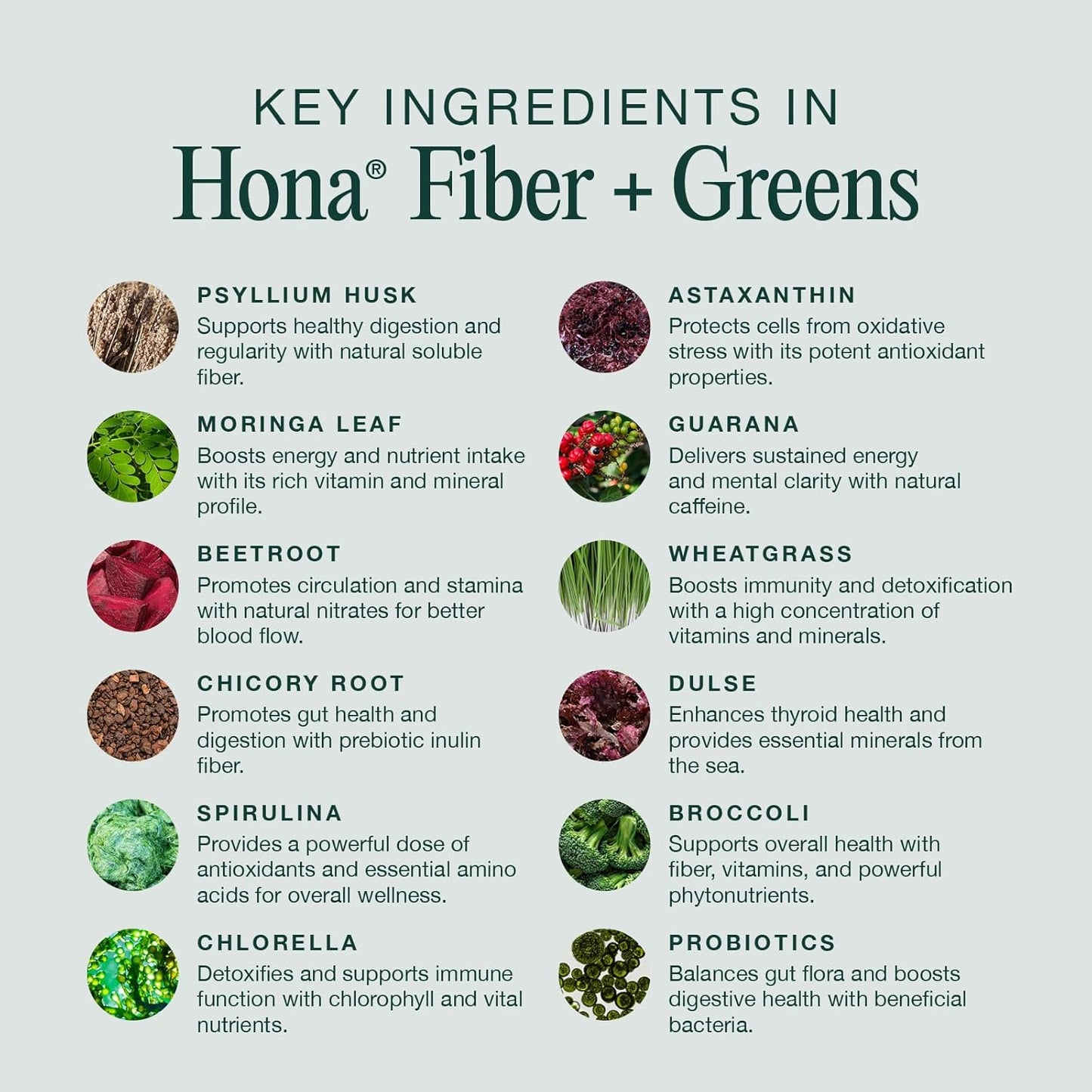 Hona Fiber + Greens Gut Support Superfood Powder, Organic Blend with Prebiotics, Probiotics, Fiber & Natural Caffeine, Gluten Free, Sugar Free, Dairy Free, Vegan, Non GMO - 30 Servings