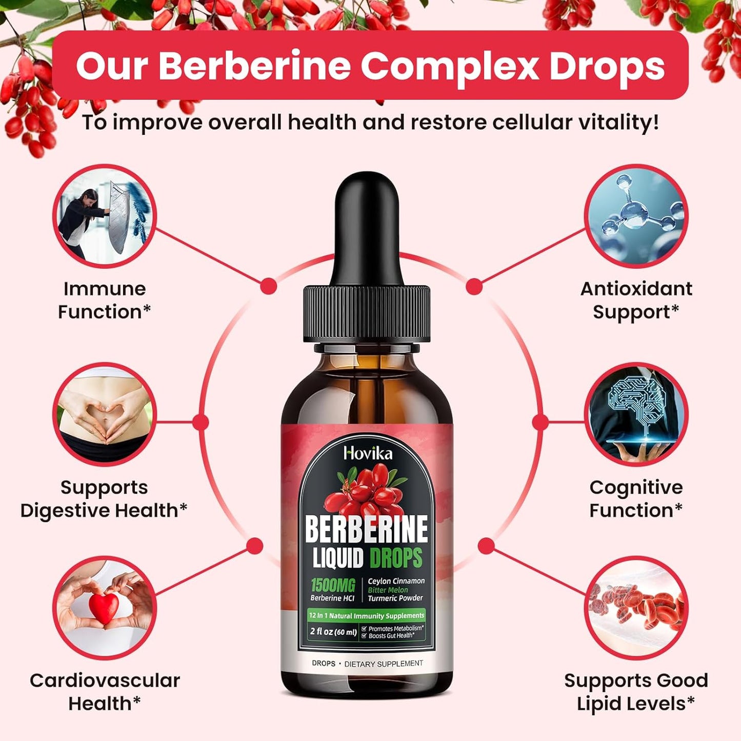 Hovika Berberine HCL Liquid Drops - 1500mg Highly Absorbable Strawberry Flavored Supplement for Immune, Digestion & Heart Health - 2 FL Oz