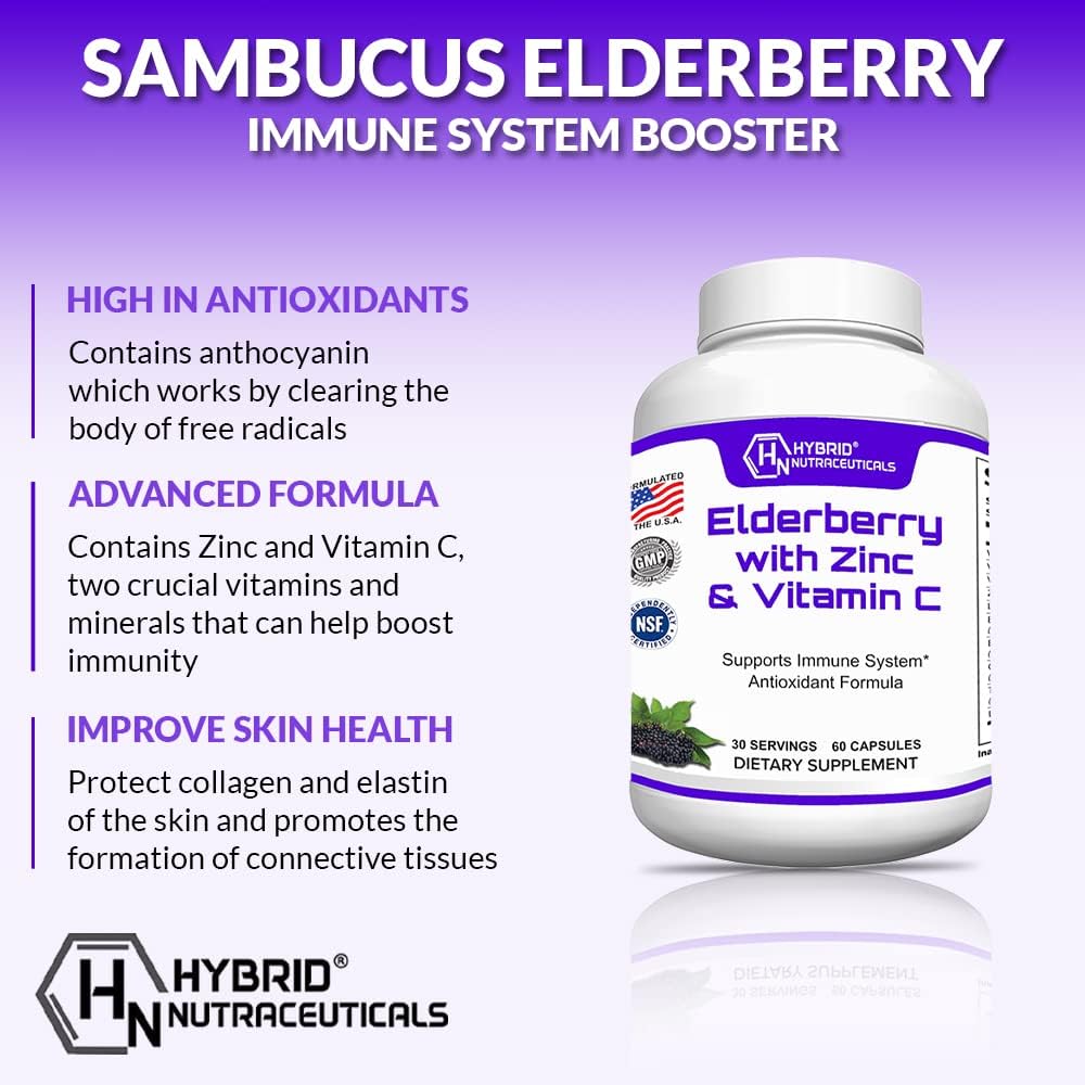 Hybrid Nutraceuticals Black Elderberry Capsules with Echinacea, Turmeric, Garlic, Zinc, Vitamins C, E, B6, Probiotics, L-Glutamine - 60 Caps
