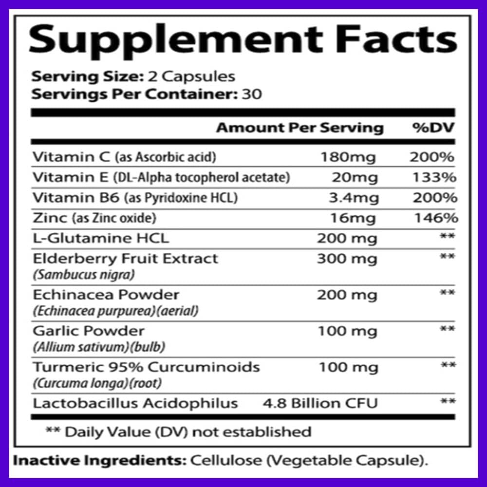 Hybrid Nutraceuticals Black Elderberry Capsules with Echinacea, Turmeric, Garlic, Zinc, Vitamins C, E, B6, Probiotics, L-Glutamine - 60 Caps