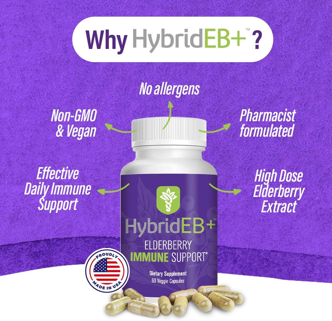 HybridEB Sambucus Elderberry Immune Support Capsules with Vitamin C, Zinc, D3, Garlic, and Oregano - Antioxidant Supplement for Adults - 60 Count