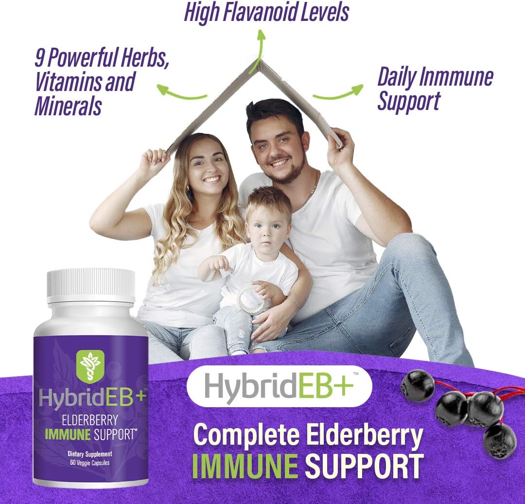 HybridEB Sambucus Elderberry Immune Support Capsules with Vitamin C, Zinc, D3, Garlic, and Oregano - Antioxidant Supplement for Adults - 60 Count