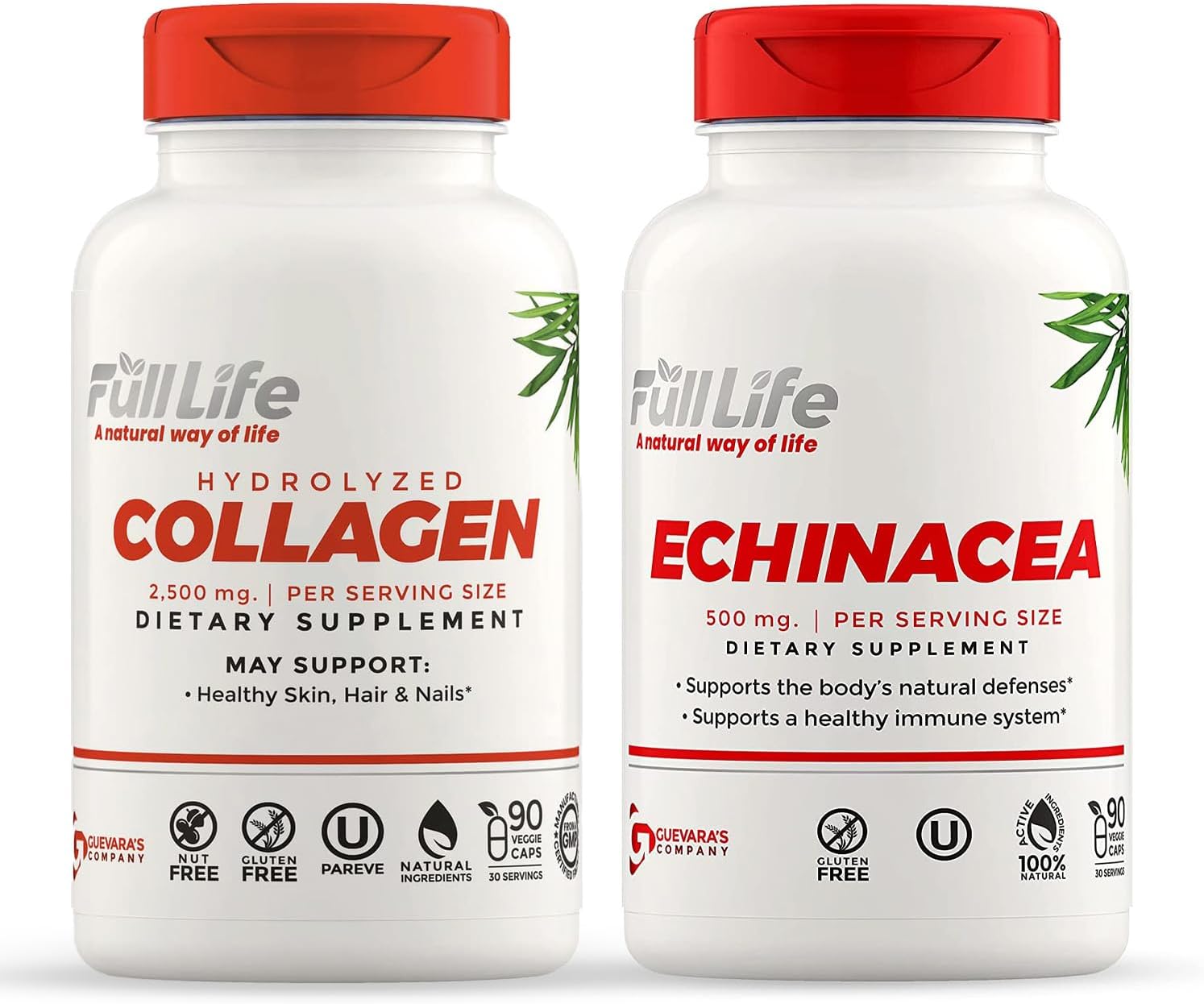 Hydrolyzed Collagen and Echinacea Capsules - Dietary Supplement for Women and Men - Bovine Collagen Pills - Echinacea Purpurea Extract - Gluten-Free - 90 Veggie Capsules