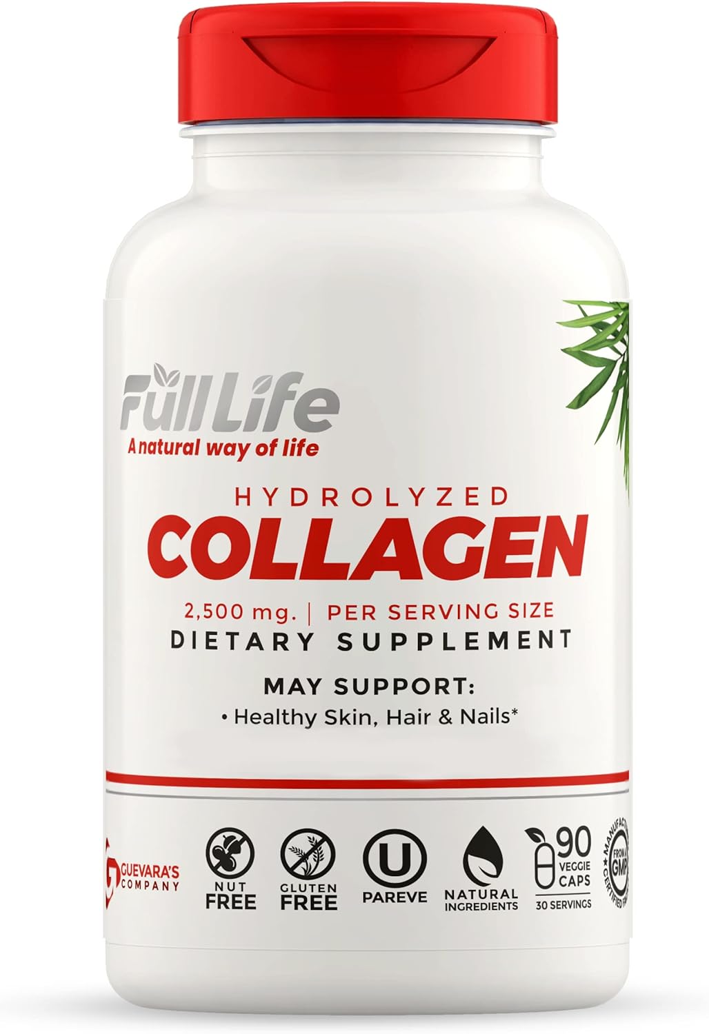 Hydrolyzed Collagen and Echinacea Capsules - Dietary Supplement for Women and Men - Bovine Collagen Pills - Echinacea Purpurea Extract - Gluten-Free - 90 Veggie Capsules
