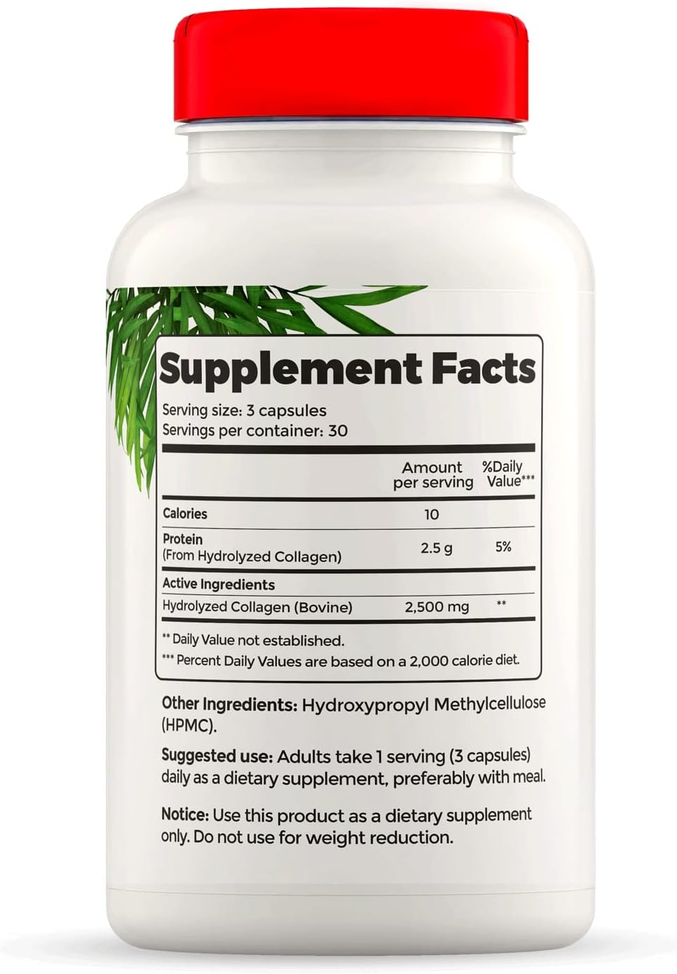 Hydrolyzed Collagen and Echinacea Capsules - Dietary Supplement for Women and Men - Bovine Collagen Pills - Echinacea Purpurea Extract - Gluten-Free - 90 Veggie Capsules