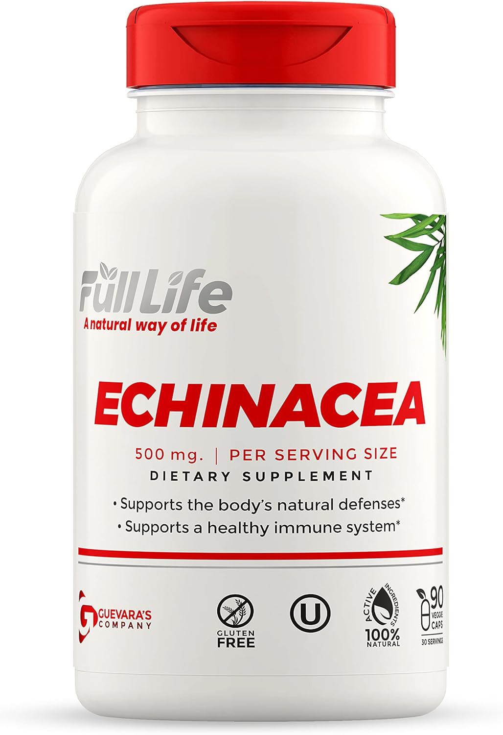 Hydrolyzed Collagen and Echinacea Capsules - Dietary Supplement for Women and Men - Bovine Collagen Pills - Echinacea Purpurea Extract - Gluten-Free - 90 Veggie Capsules