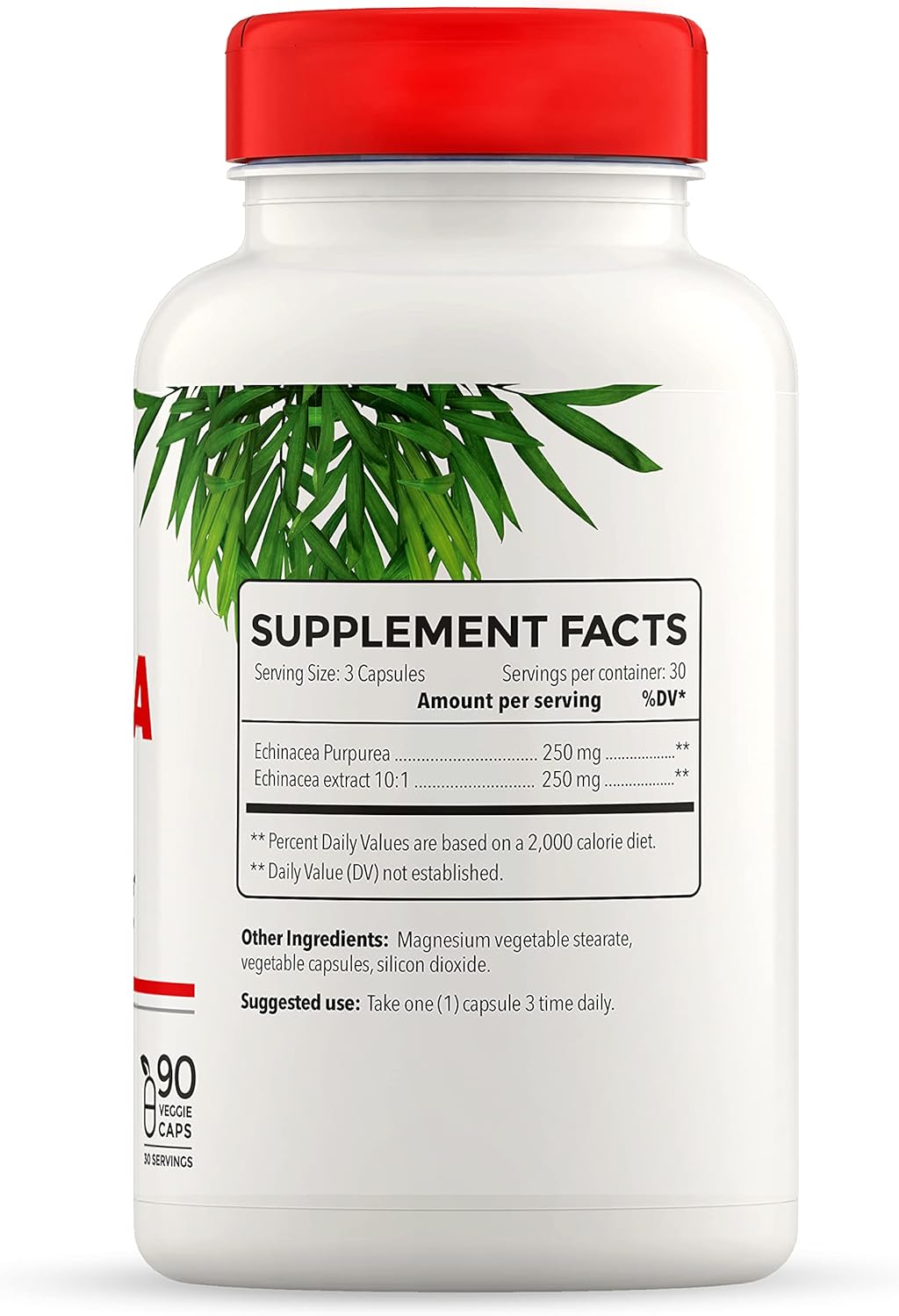 Hydrolyzed Collagen and Echinacea Capsules - Dietary Supplement for Women and Men - Bovine Collagen Pills - Echinacea Purpurea Extract - Gluten-Free - 90 Veggie Capsules