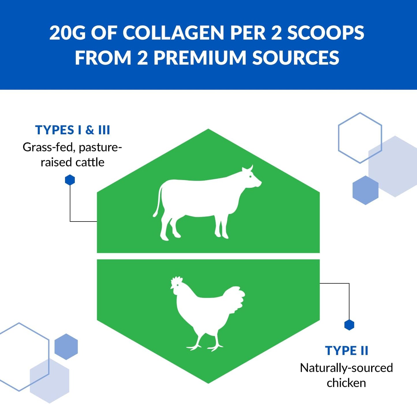 Hydrolyzed Collagen Peptides Powder - Types I, II, & III - Grass Fed Protein for Anti Aging - Skin, Hair, Bone & Joint Health - Unflavored 7 Oz