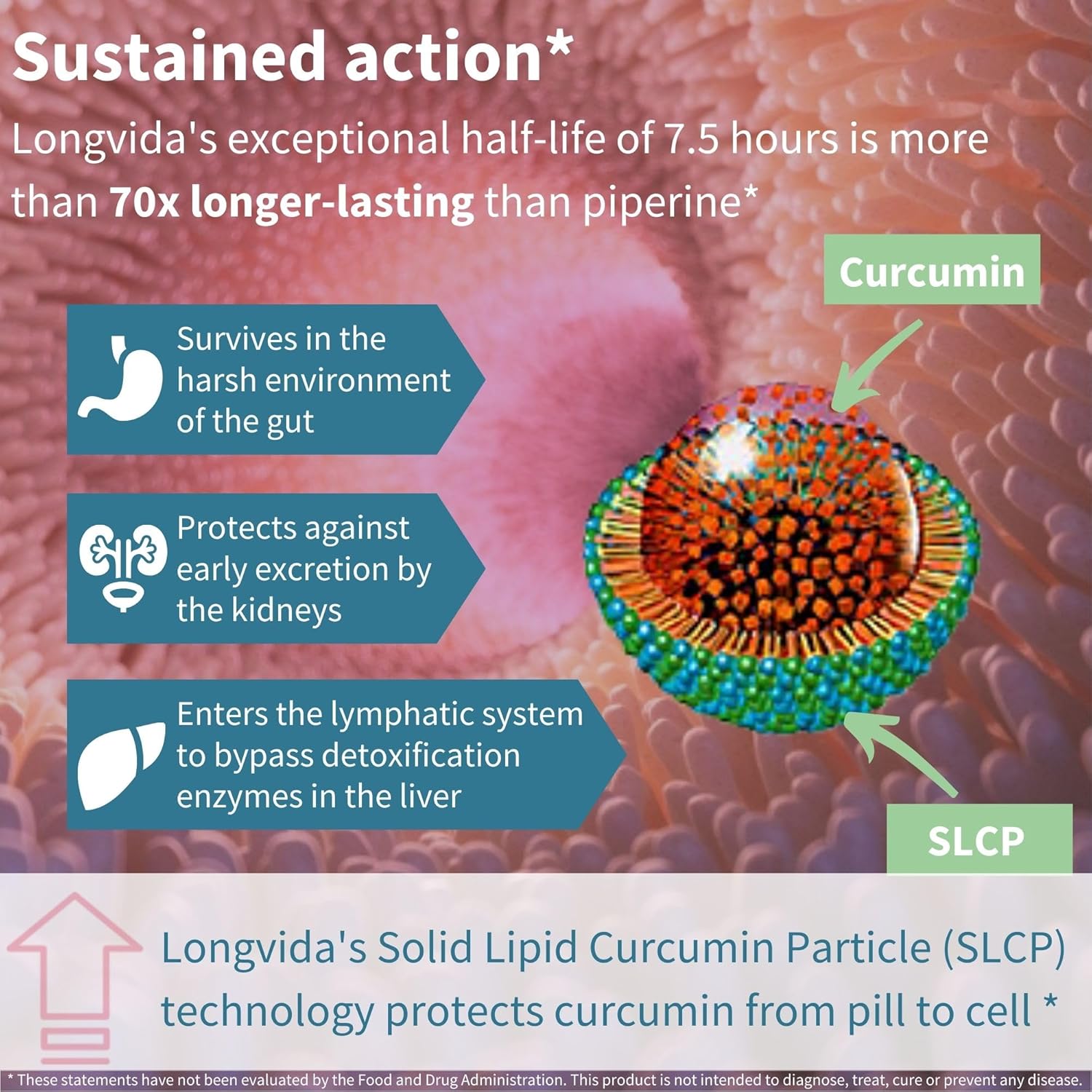 Igennus Longvida Lipidated Curcumin 500mg Capsules - Vegan & Bioavailable Formula for Sustained Action - 180 Count