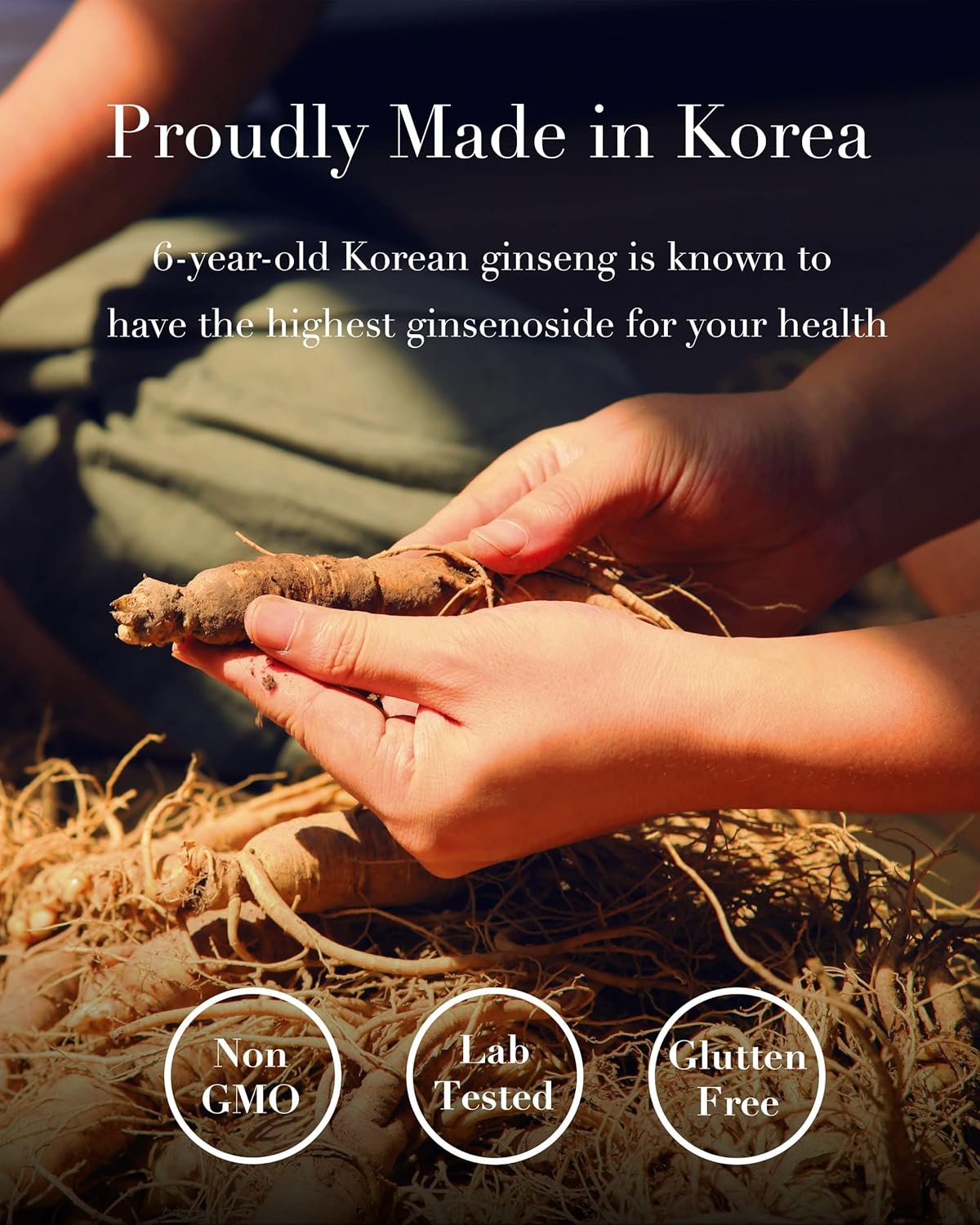 ILHWA Korean Concentrated Ginseng Extract - Pack of 3, 1.76 oz Each - Premium Ginseng Supplement