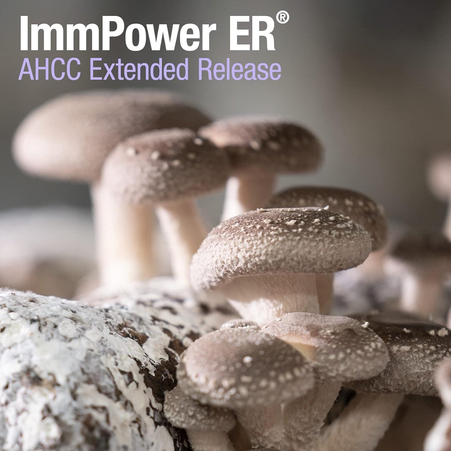 ImmPower ER AHCC Extended Release Mushroom Supplement - 60 Capsules, 500mg - Immune Support by American BioSciences