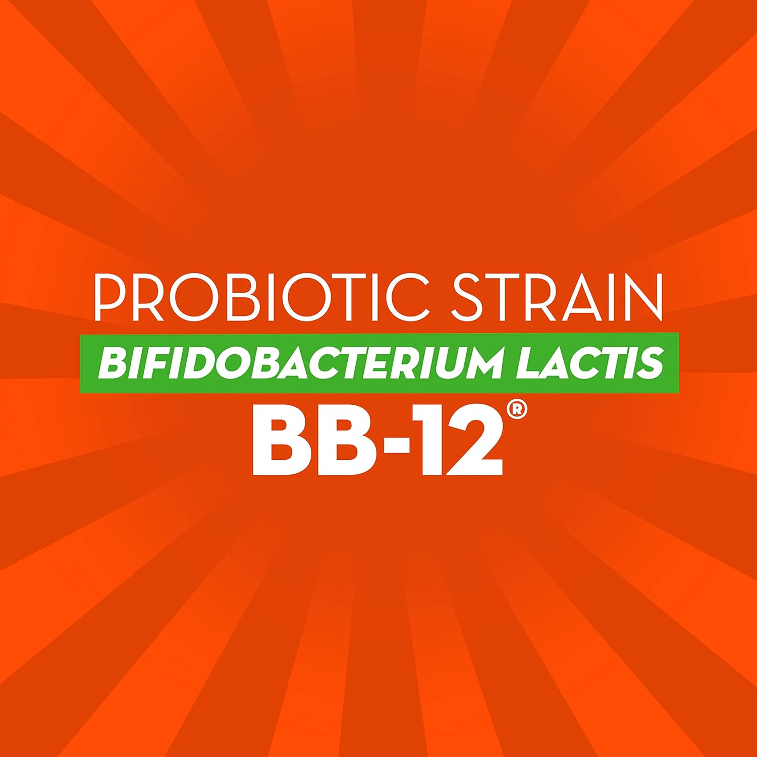 Immune and Digestive Health Probiotic for Men and Women, Daily Support, 14 Capsules