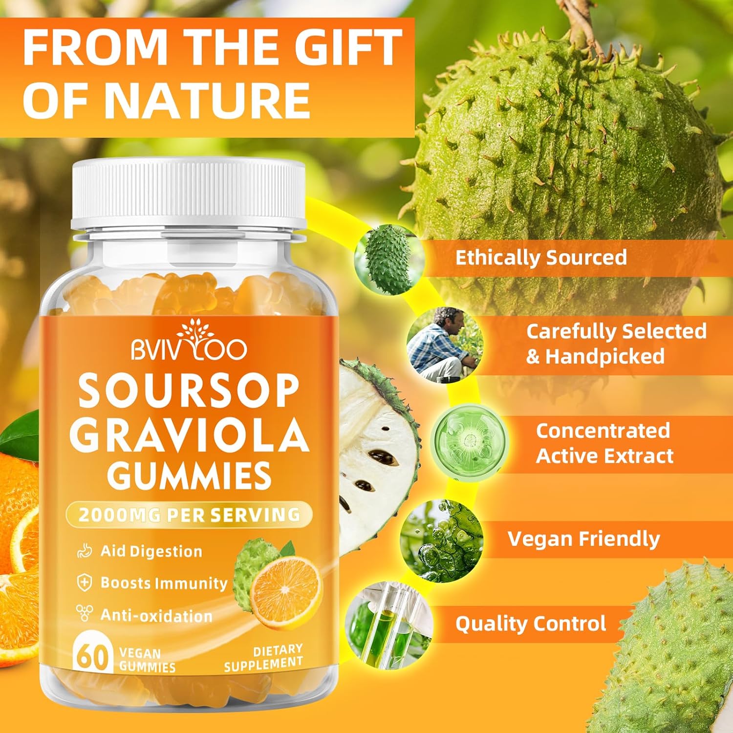 Immune-Boosting Soursop Graviola Gummies with Elderberry - 2000mg Soursop & 200mg Elderberry, Enhanced Vitamin C, Antioxidant-Rich, Gluten-Free & Vegan - 60 Gummies - BoostGo Australia