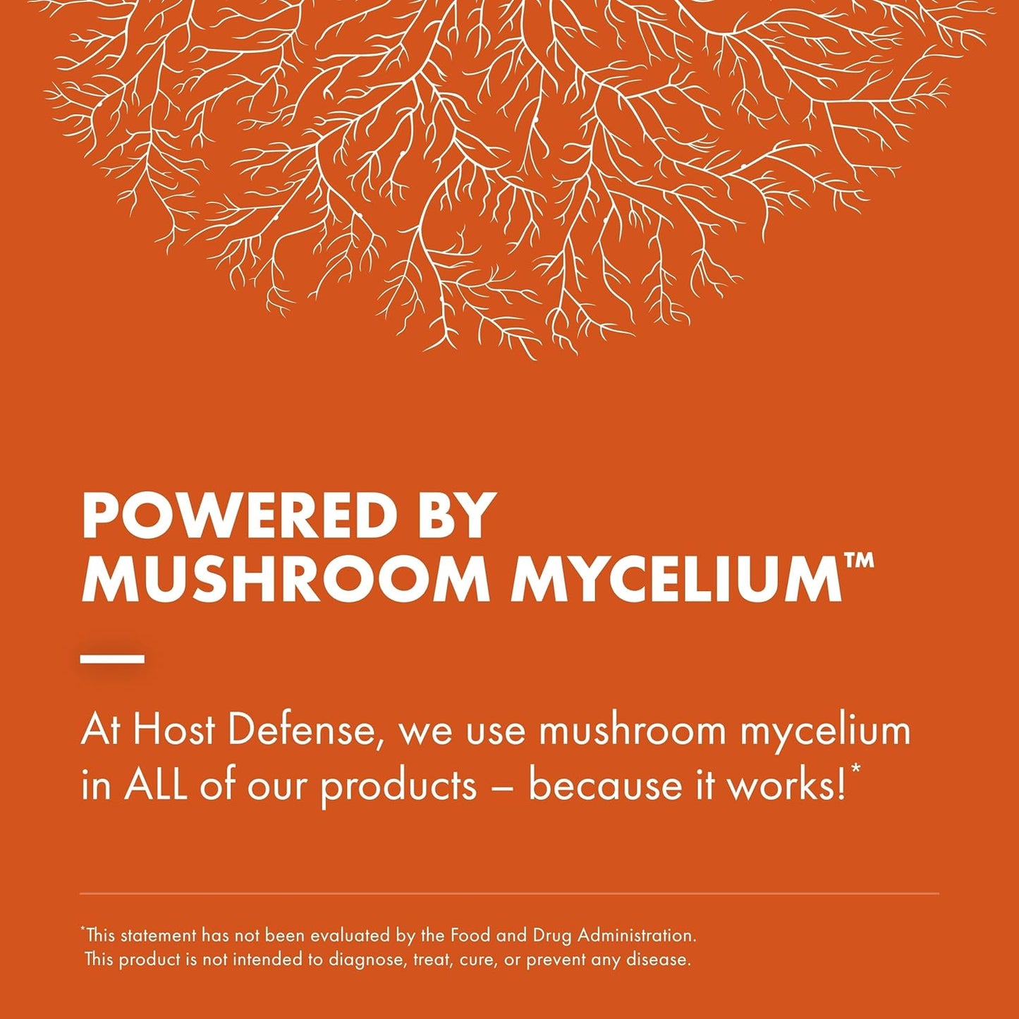 Immune & Energy Support Bundle: Cordyceps Capsules (120) + Lion's Mane Capsules (30) - Boost Brain Health, Memory & Focus*