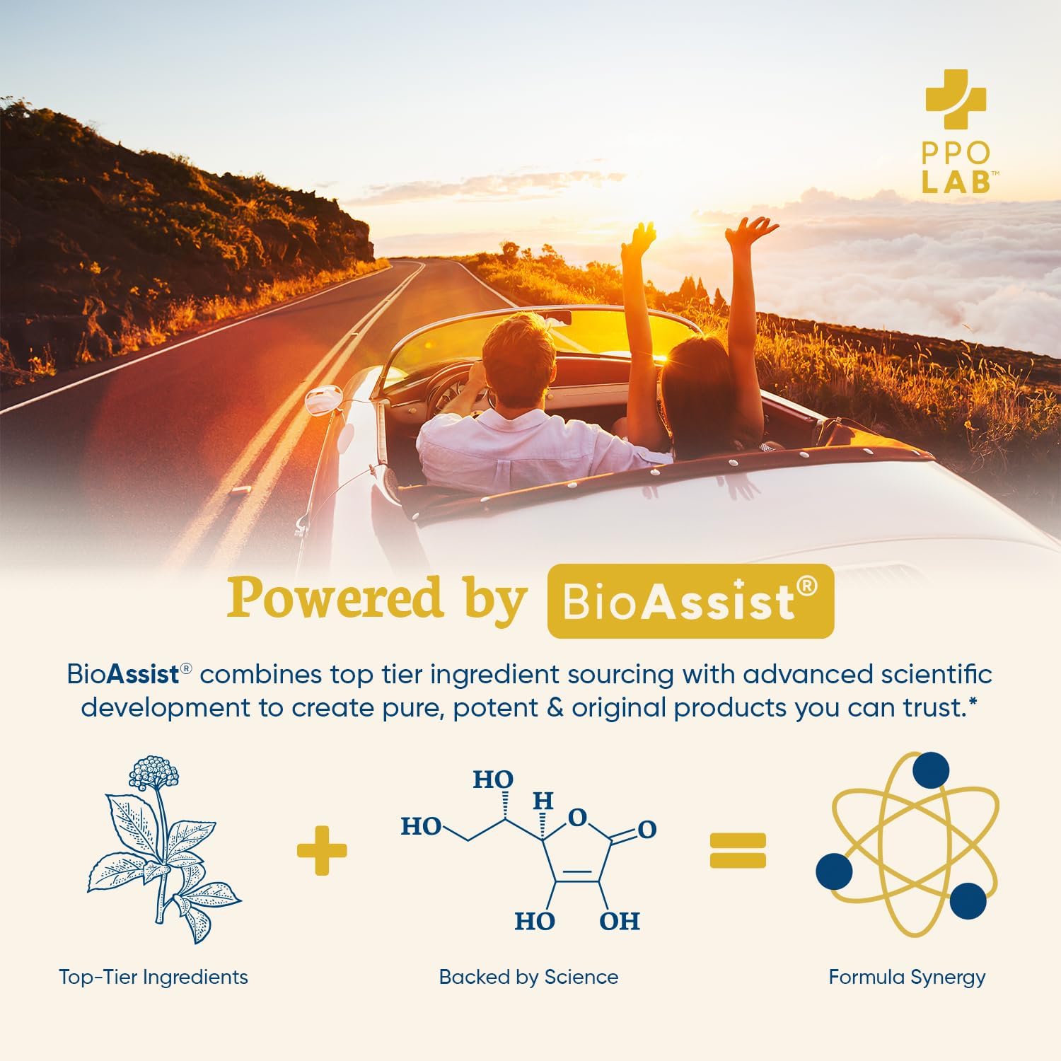 Immune-fx™ Advanced Chelated Zinc Ionophore Supplement with Quercetin and Vitamin C for Immune Support - 60 Vegan Capsules