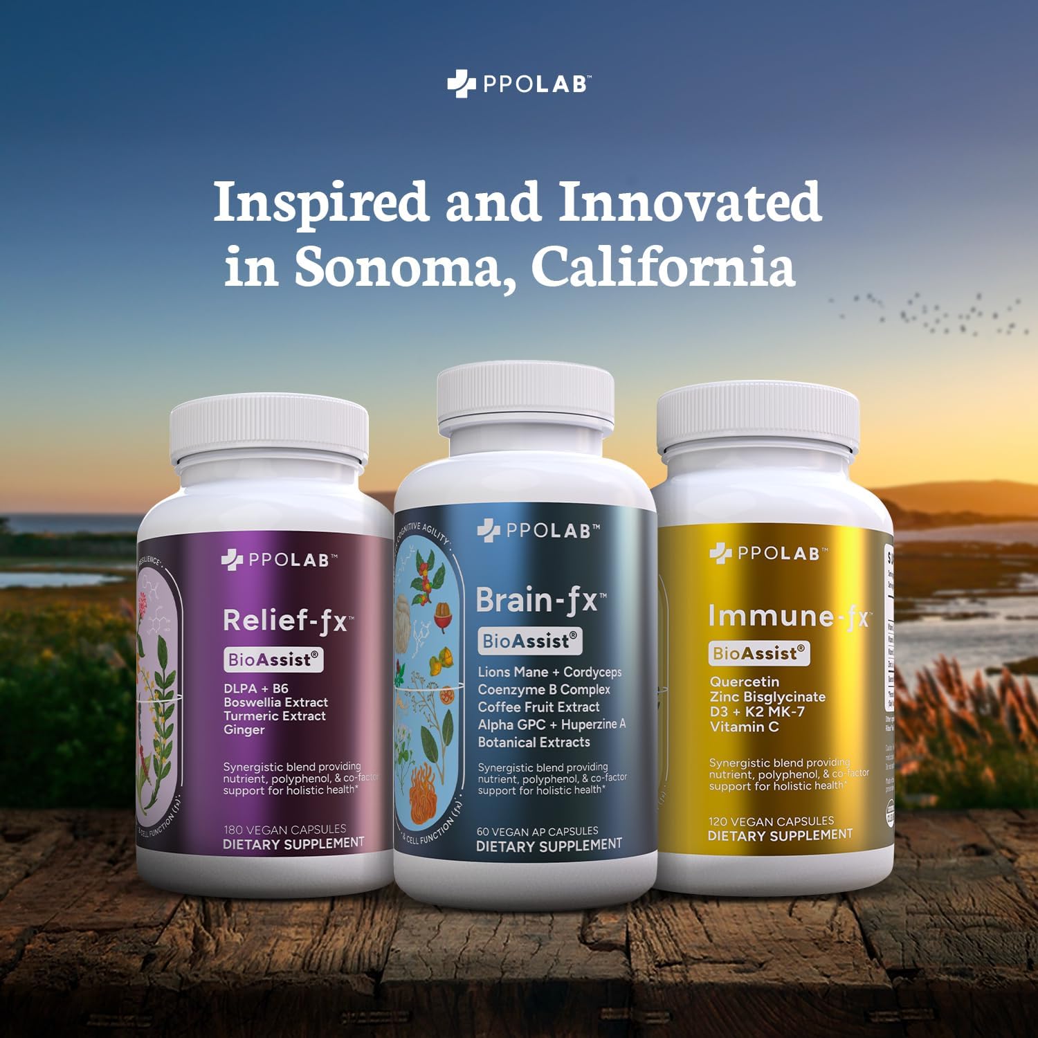 Immune-fx™ Advanced Chelated Zinc Ionophore Supplement with Quercetin and Vitamin C for Immune Support - 60 Vegan Capsules