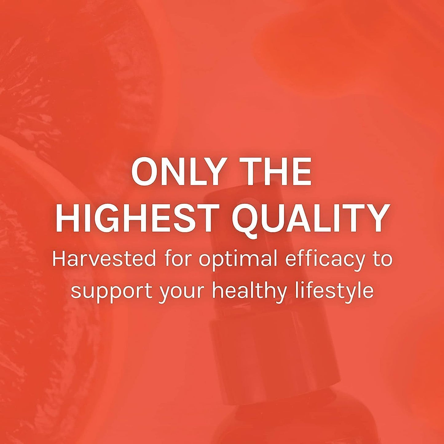 Immune Health Support Throat Spray with Chaga, Reishi, Turkey Tail - On-The-Go Immune Boost - Cinnamon Flavor - 1 fl oz