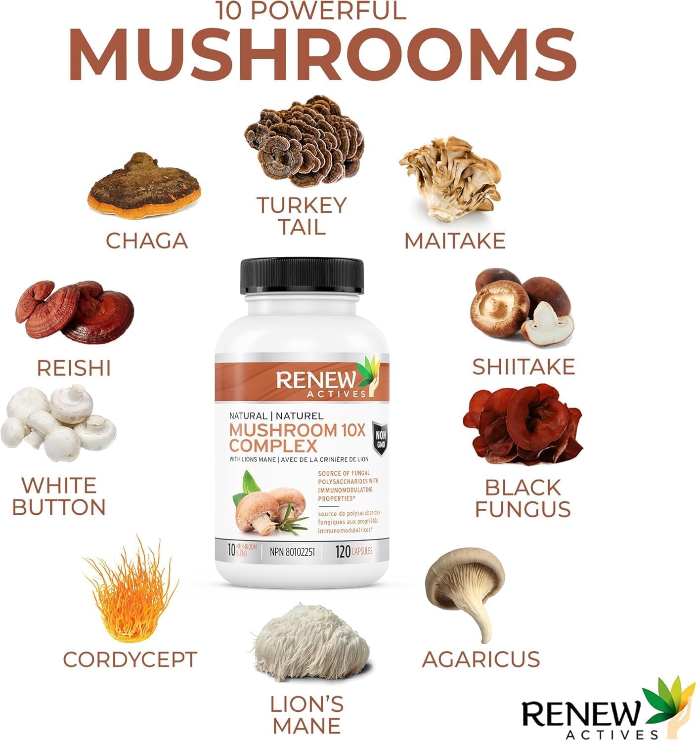Immune Health & Wellness: 10 Mushroom Blend with Antioxidants - Supports Vitality - 120 Capsules