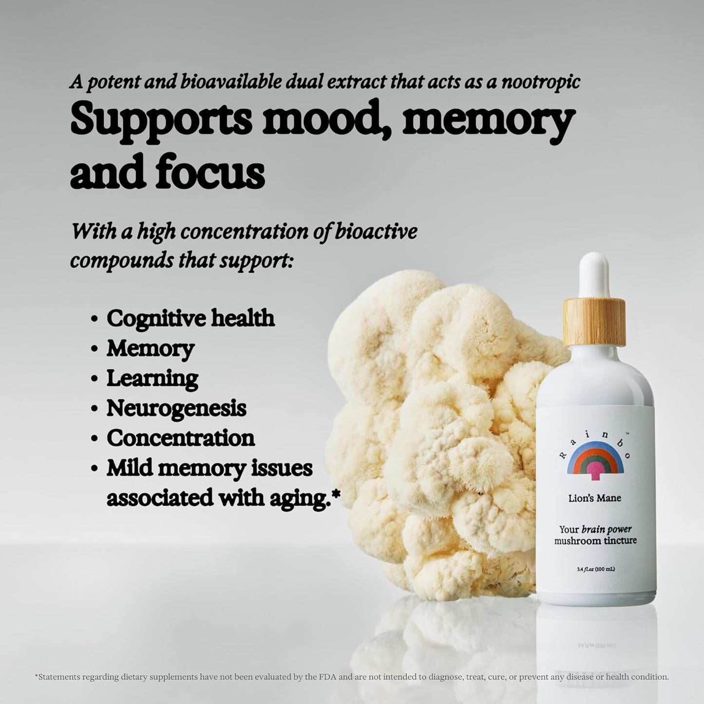 Immune Support Bundle: Lion's Mane & Chaga Mushroom Tinctures, Vegan Liquid Supplements for Daily Wellness