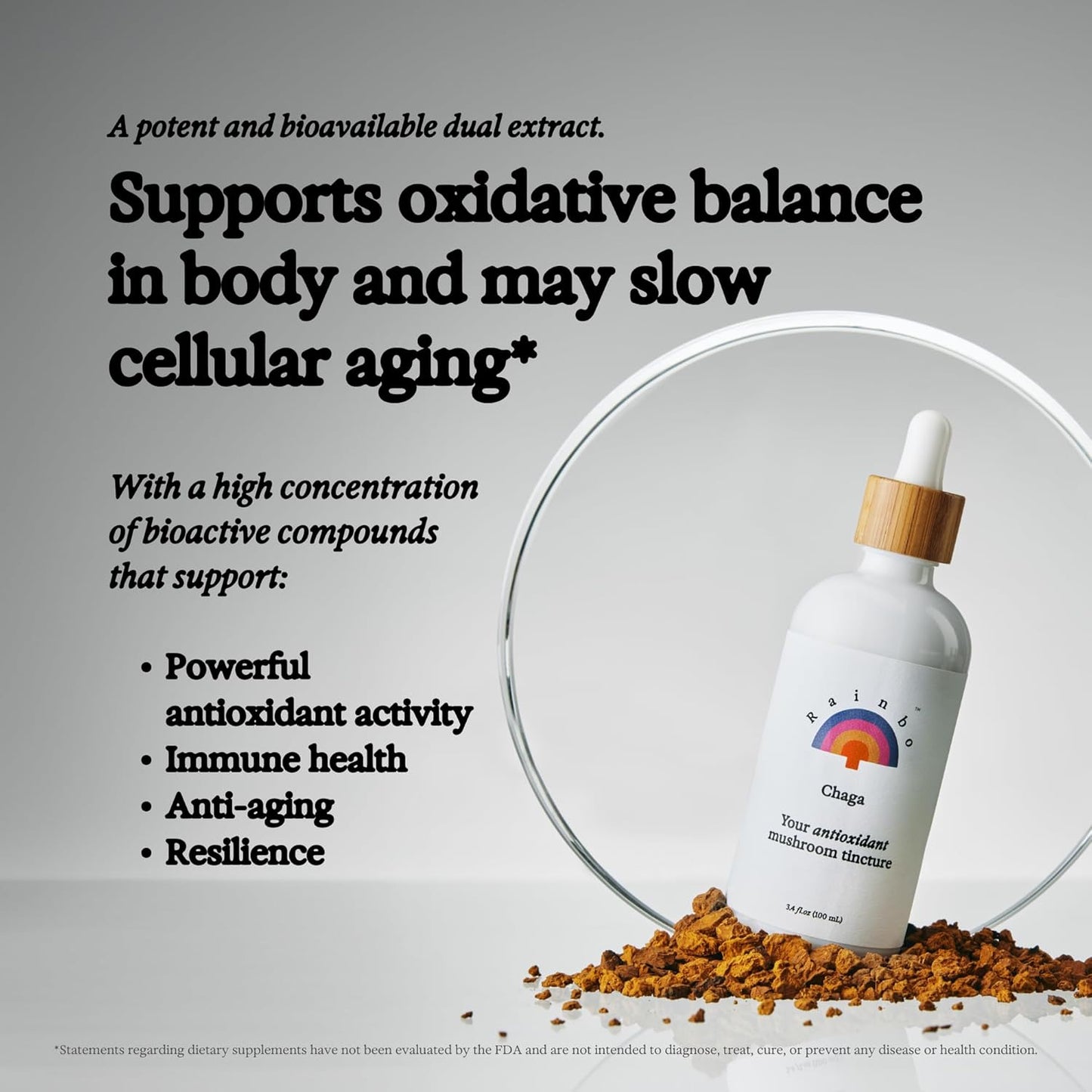 Immune Support Bundle: Lion's Mane & Chaga Mushroom Tinctures, Vegan Liquid Supplements for Daily Wellness
