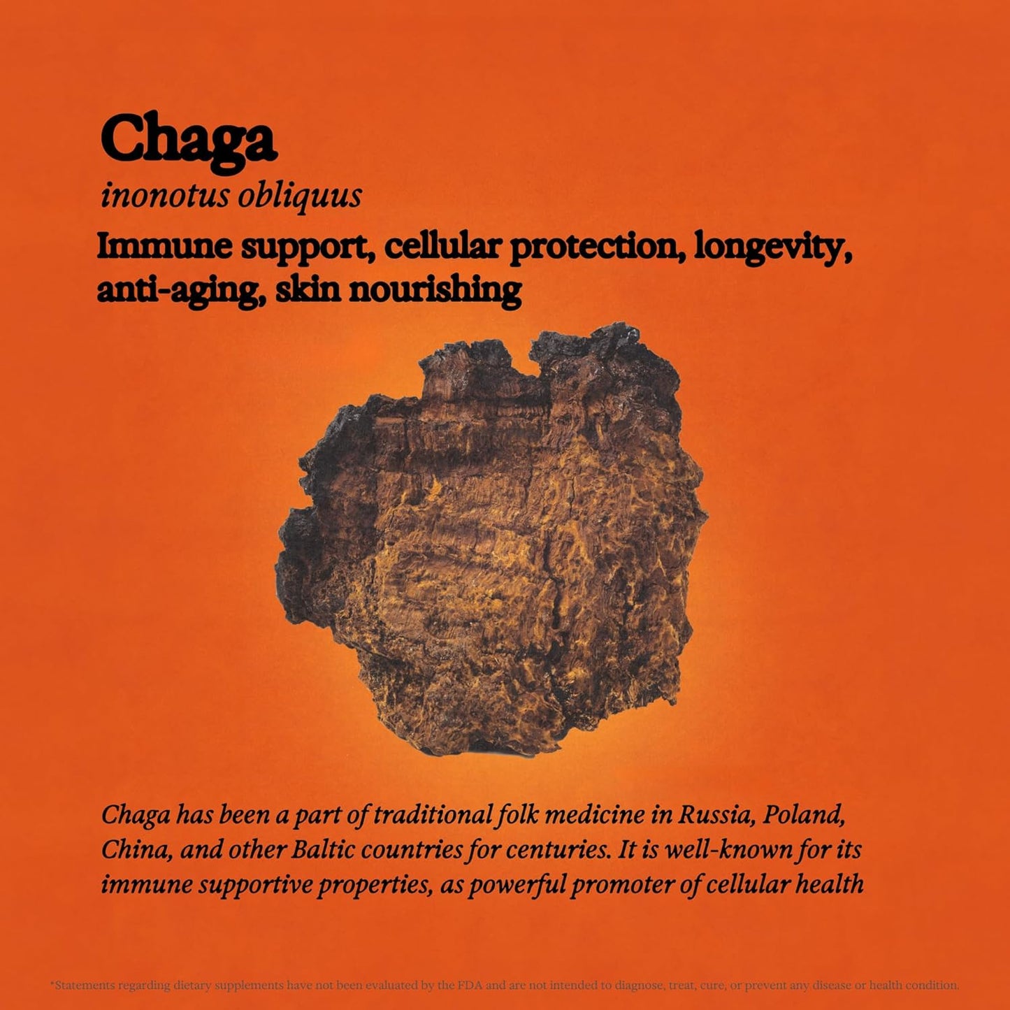 Immune Support Bundle: Lion's Mane & Chaga Mushroom Tinctures, Vegan Liquid Supplements for Daily Wellness