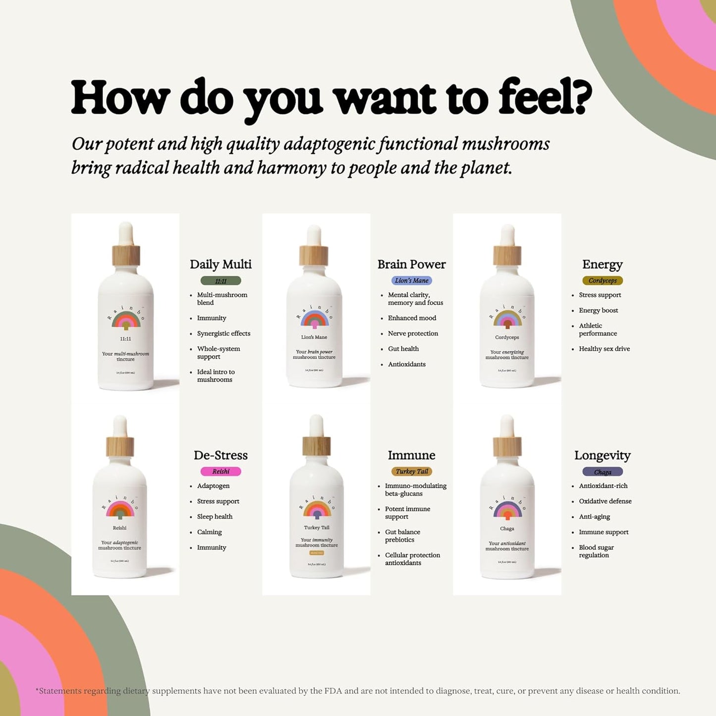 Immune Support Bundle: Lion's Mane & Chaga Mushroom Tinctures, Vegan Liquid Supplements for Daily Wellness