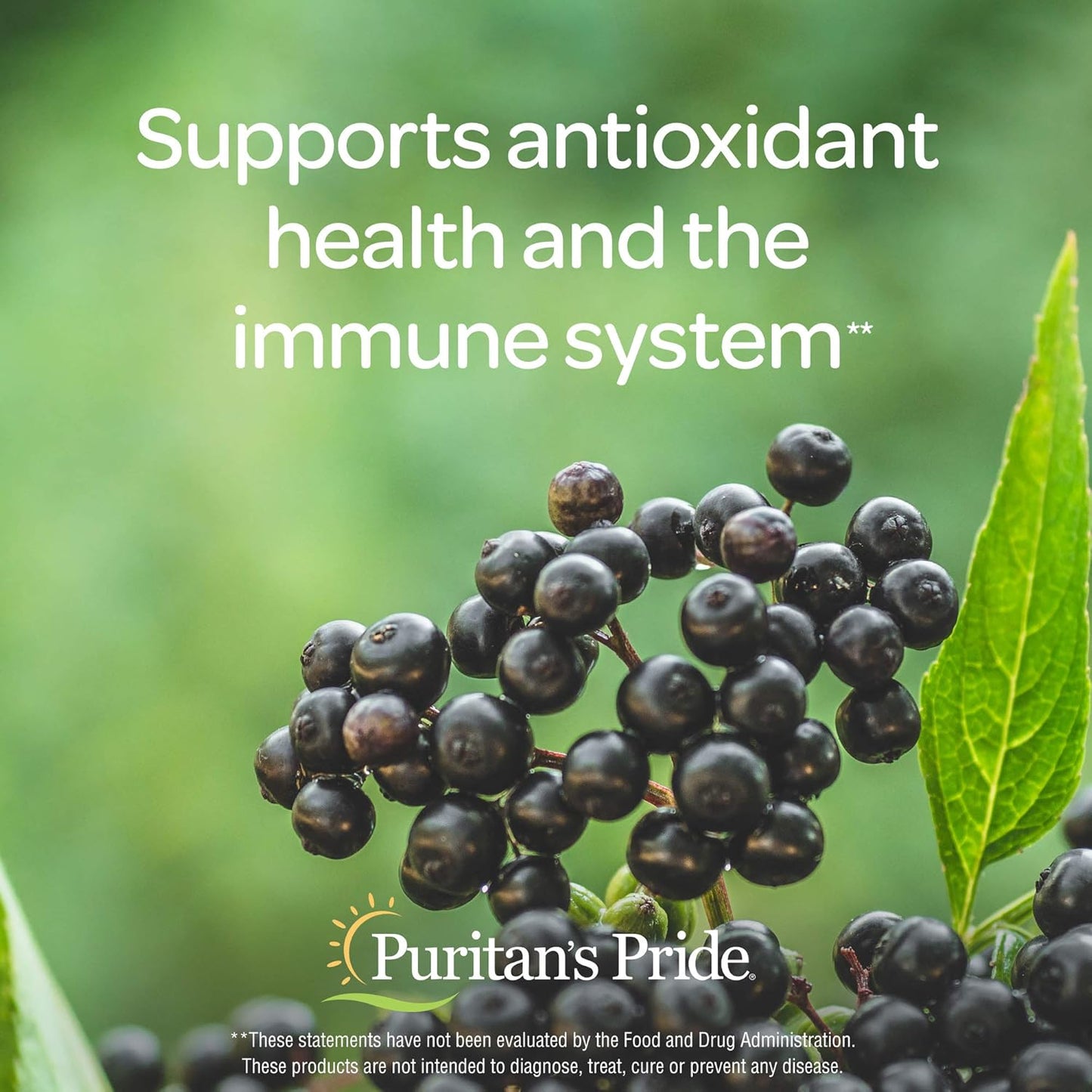 Immune Support Elderberry Gummy with Vitamin C, D & Zinc - 70 ct