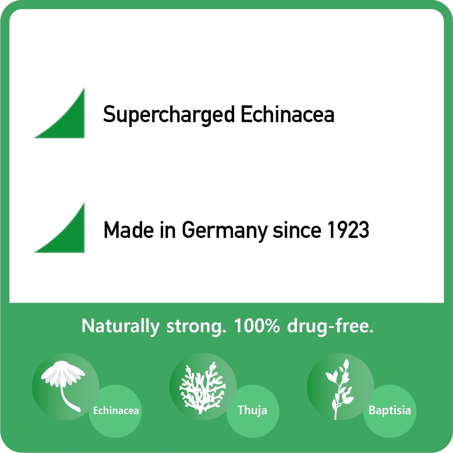 Immune Support Herbal Supplement with Echinacea, Wild Indigo Root, and Purple Coneflower - 100 Tablets from Germany