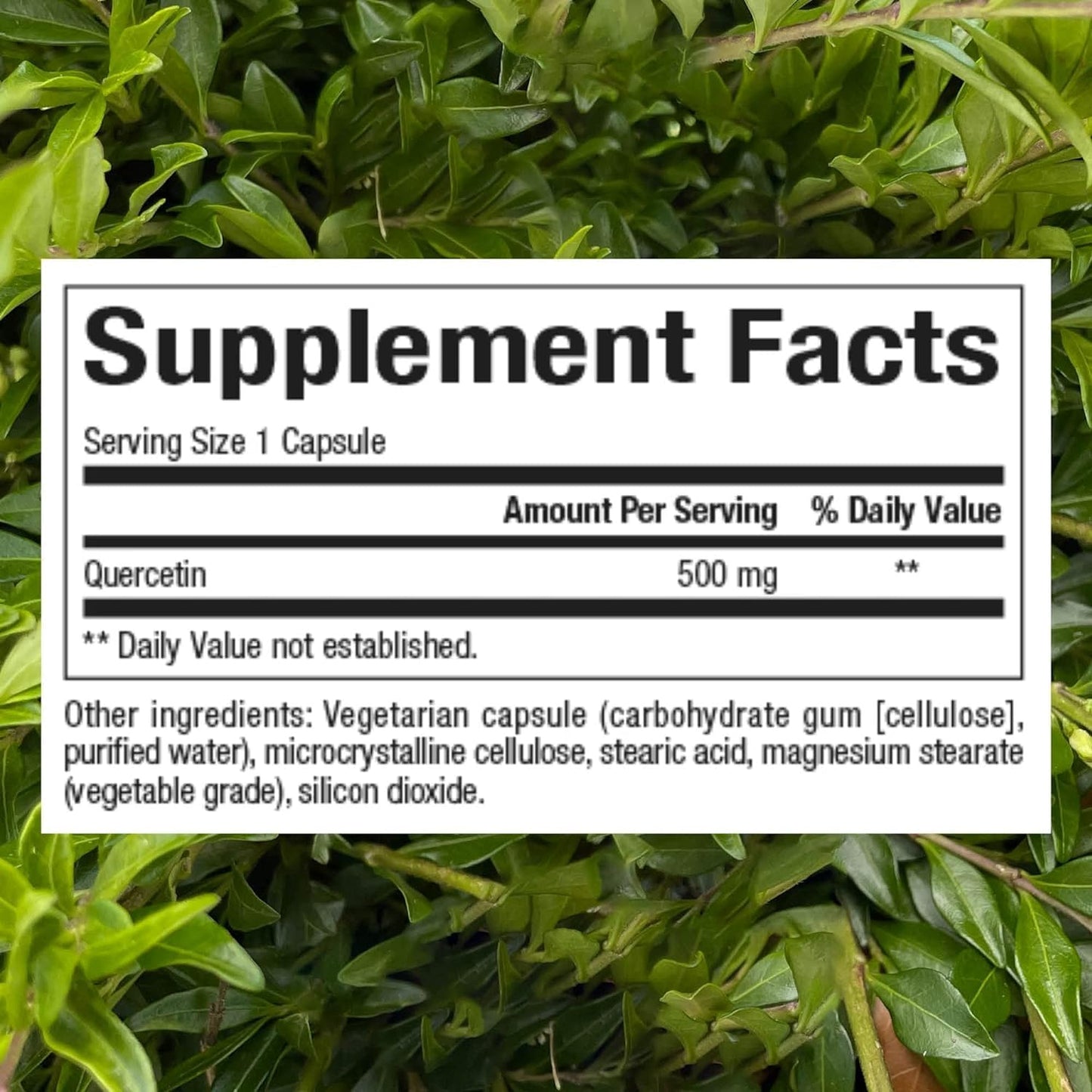 Immune Support: Natural Factors Quercetin 500mg Capsules - 60 Count