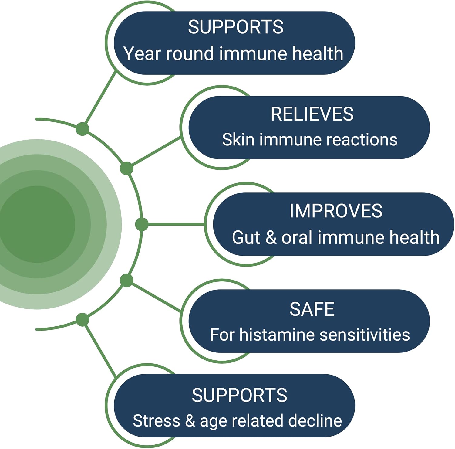 Immune Support Paraprobiotic for Gut Health | 30 Servings | Immuse Formula