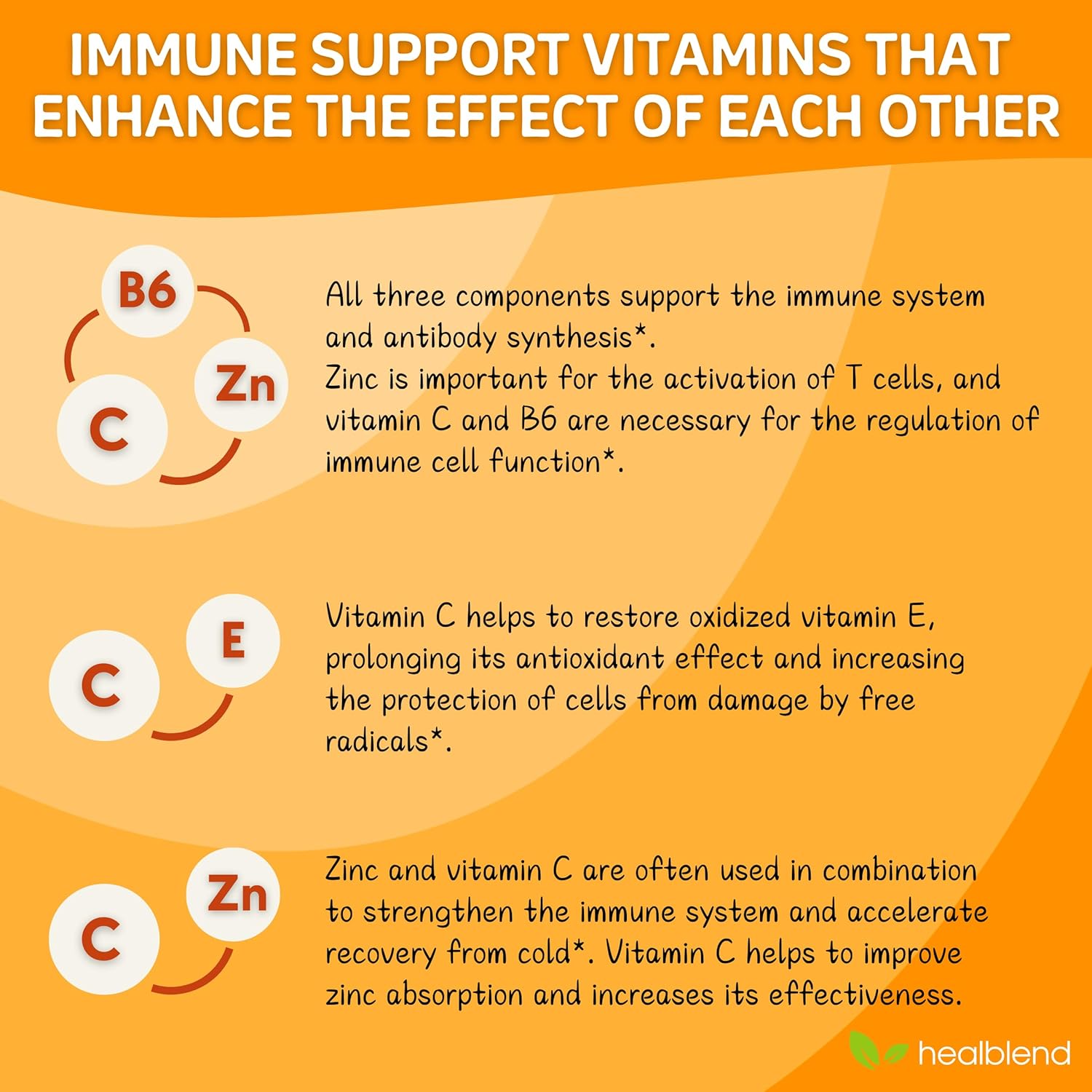 Immune Support Supplement Booster with Elderberry, Zinc, Echinacea, Turmeric, Lactobacillus Acidophilus - 10 in 1 Formula for Adults (2 Pack)