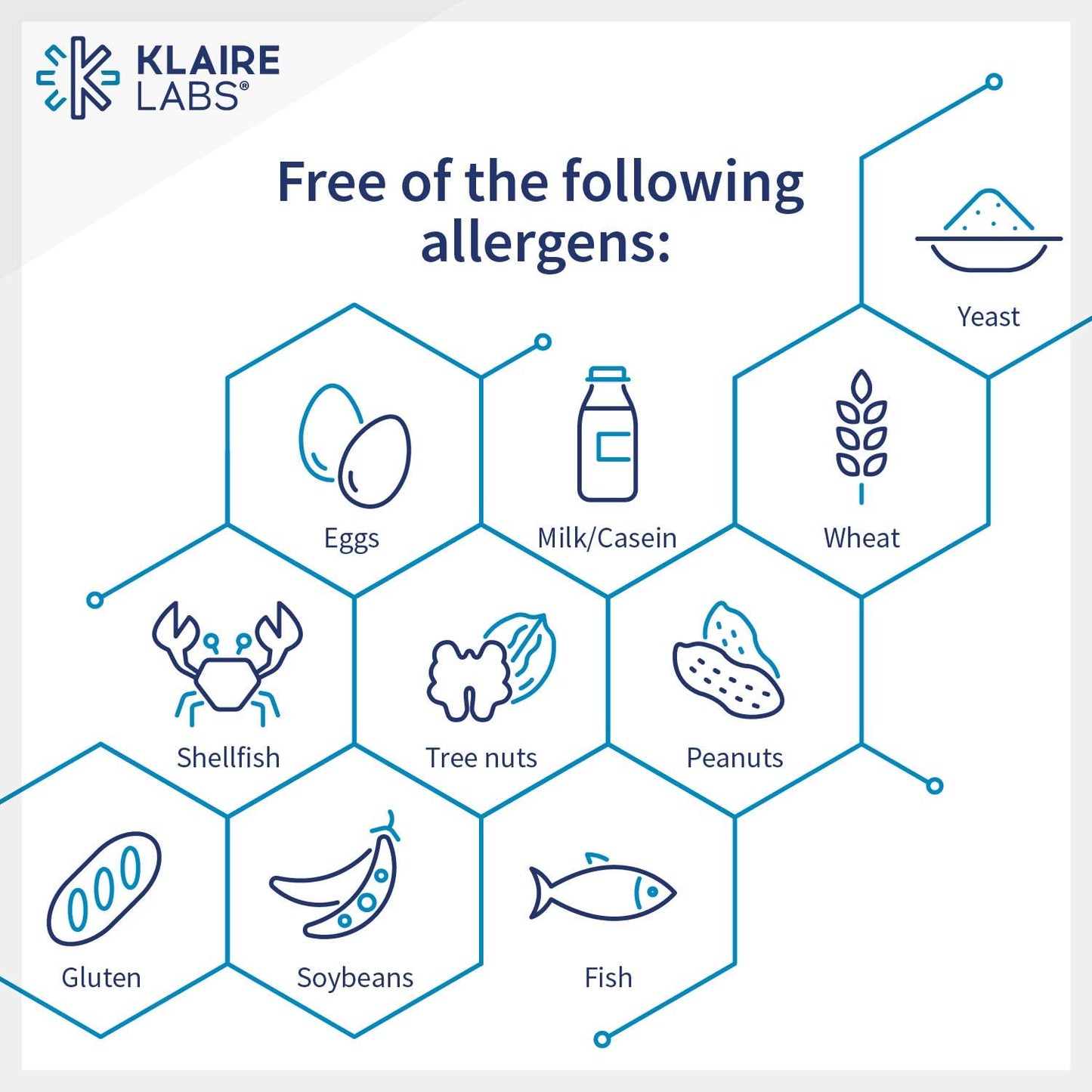Immune Support Vitamin C Blend with Bioflavonoids - 90 Capsules by Klaire Labs