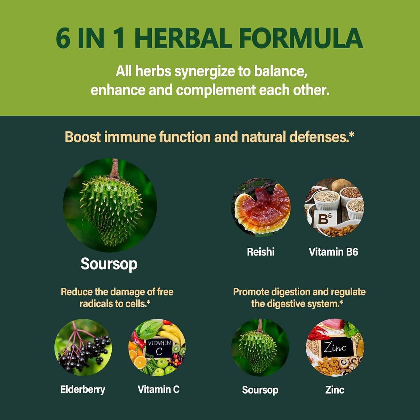 Immune System Support Drops with Soursop Leaves & Fruit Extract, Graviola Supplement with Reishi & Vitamin B6 for Digestive Health, Rich in Nutrients - 2oz