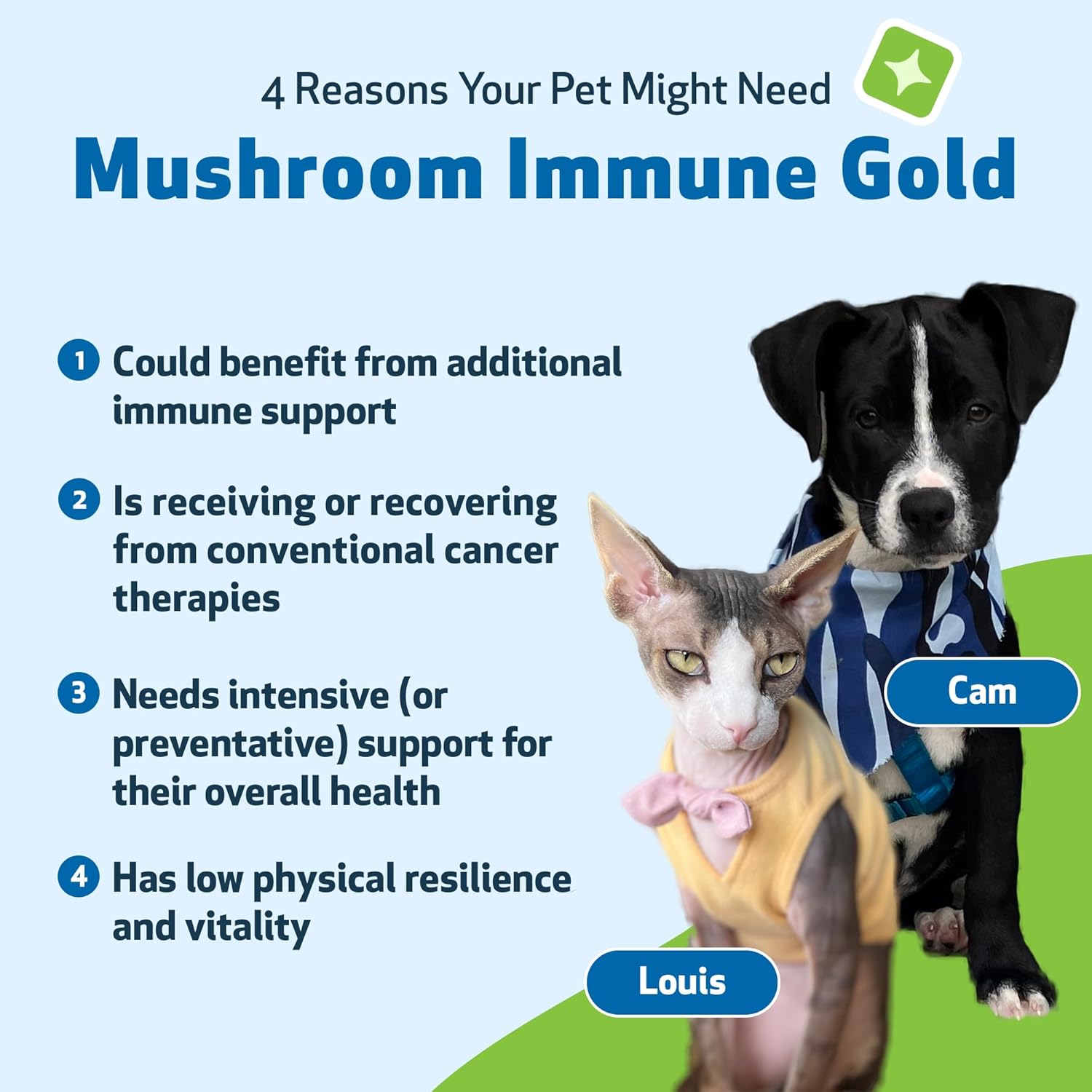 Immune System Support Kit for Dogs & Cats with Mushrooms - Vet-Formulated for Antioxidant Protection and Wellness